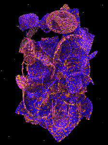 Torus Sun: SRT 198