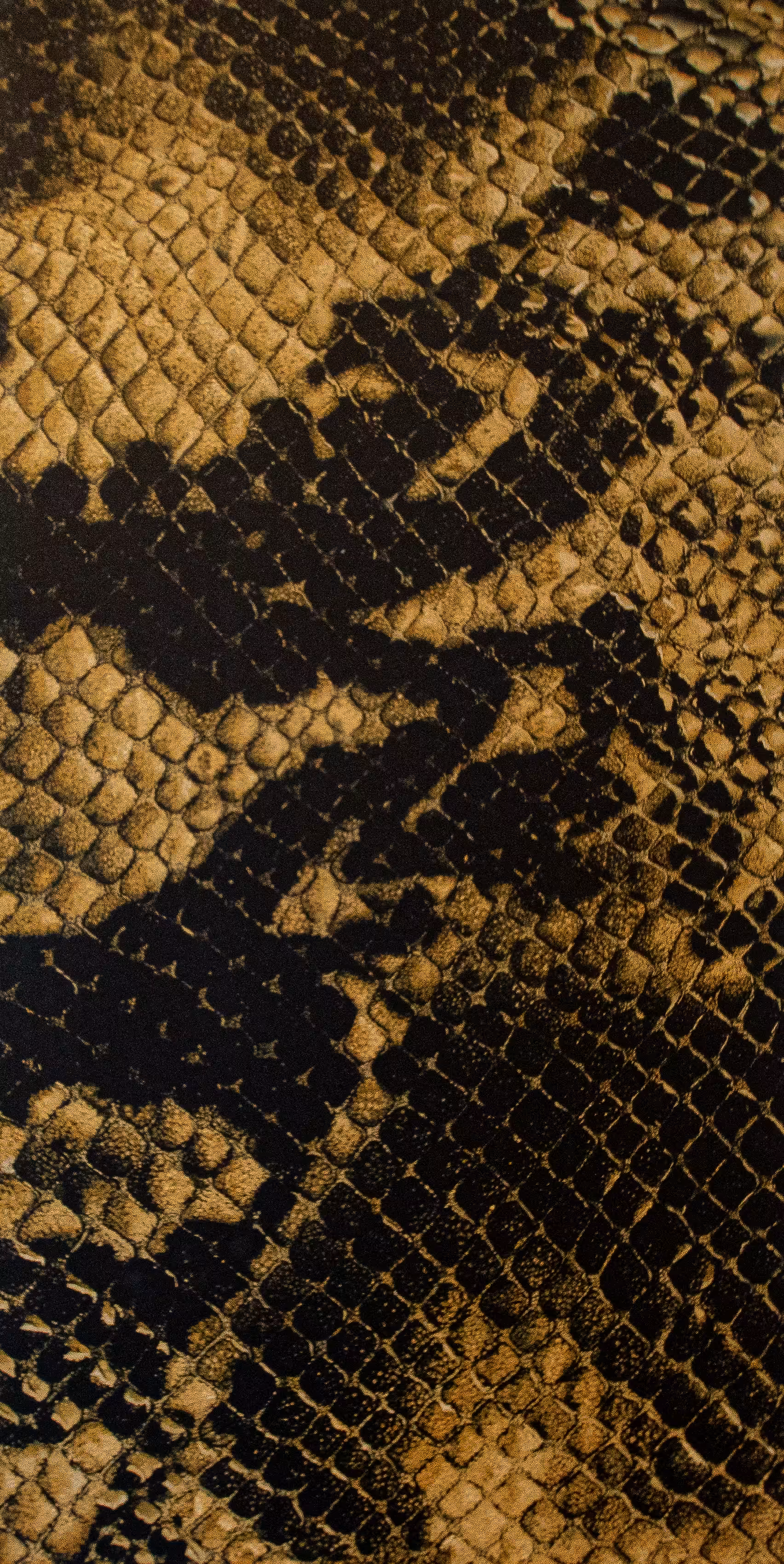 I Will Not Fear: Constricted