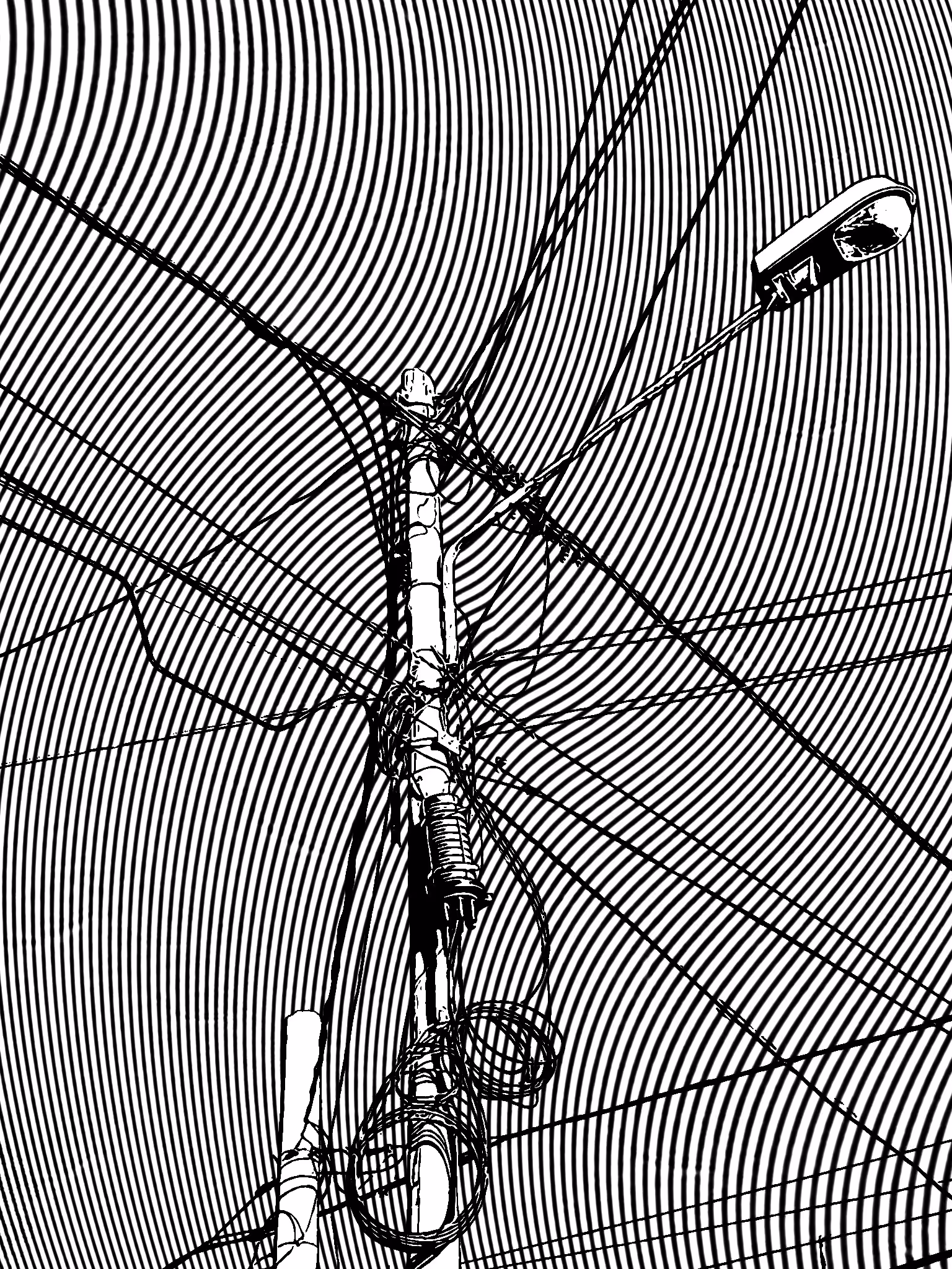 Cables V12