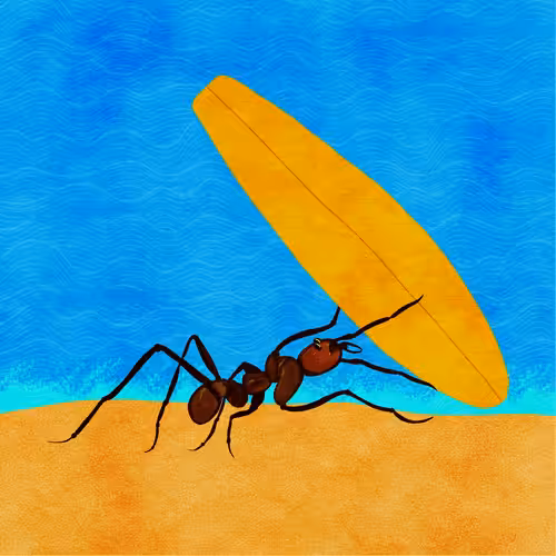 Surfer Ant