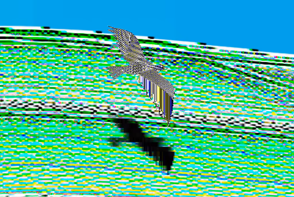 Moments of the sky (shadow of a bird)
