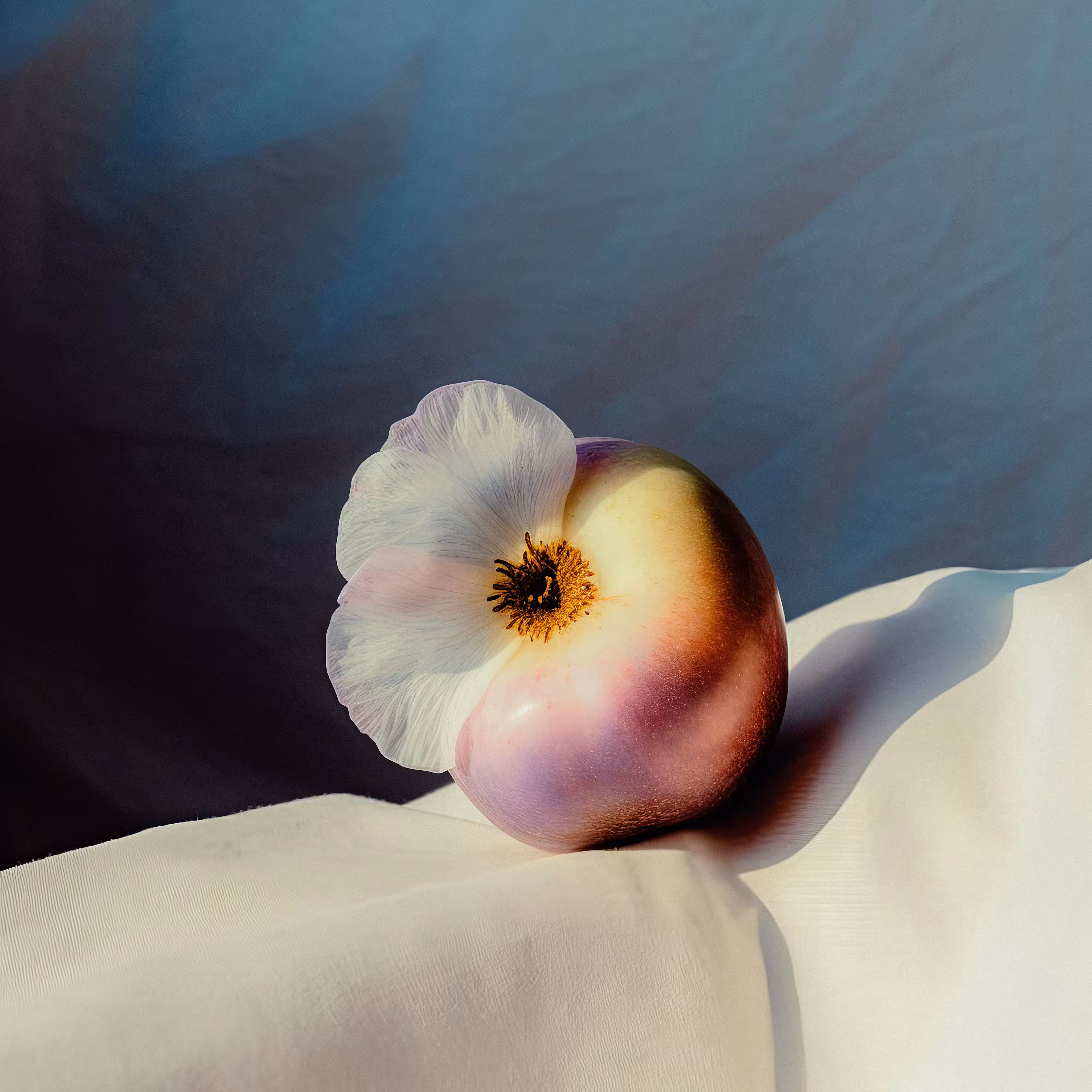 Flowering Fruit