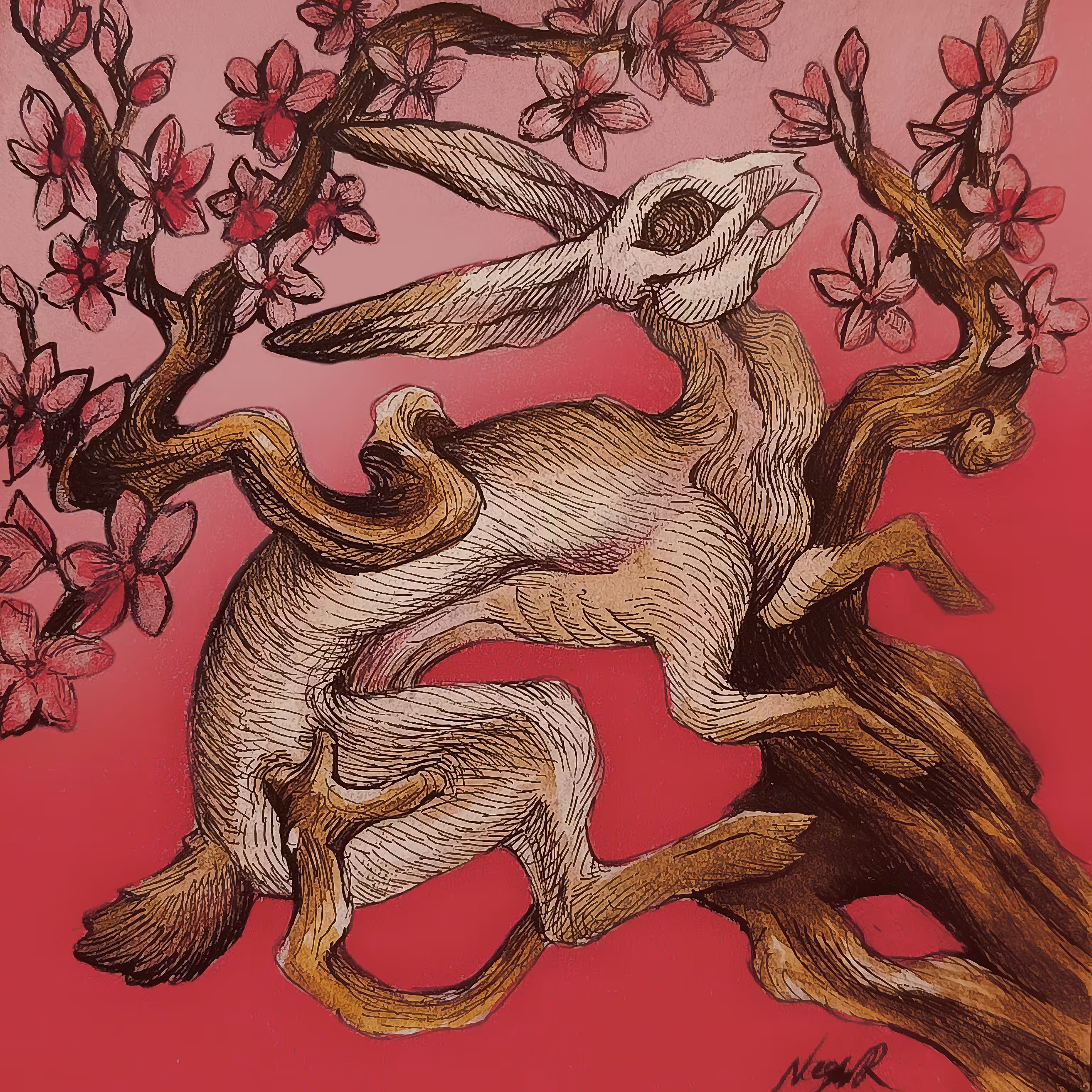 cherry blossoms and hare