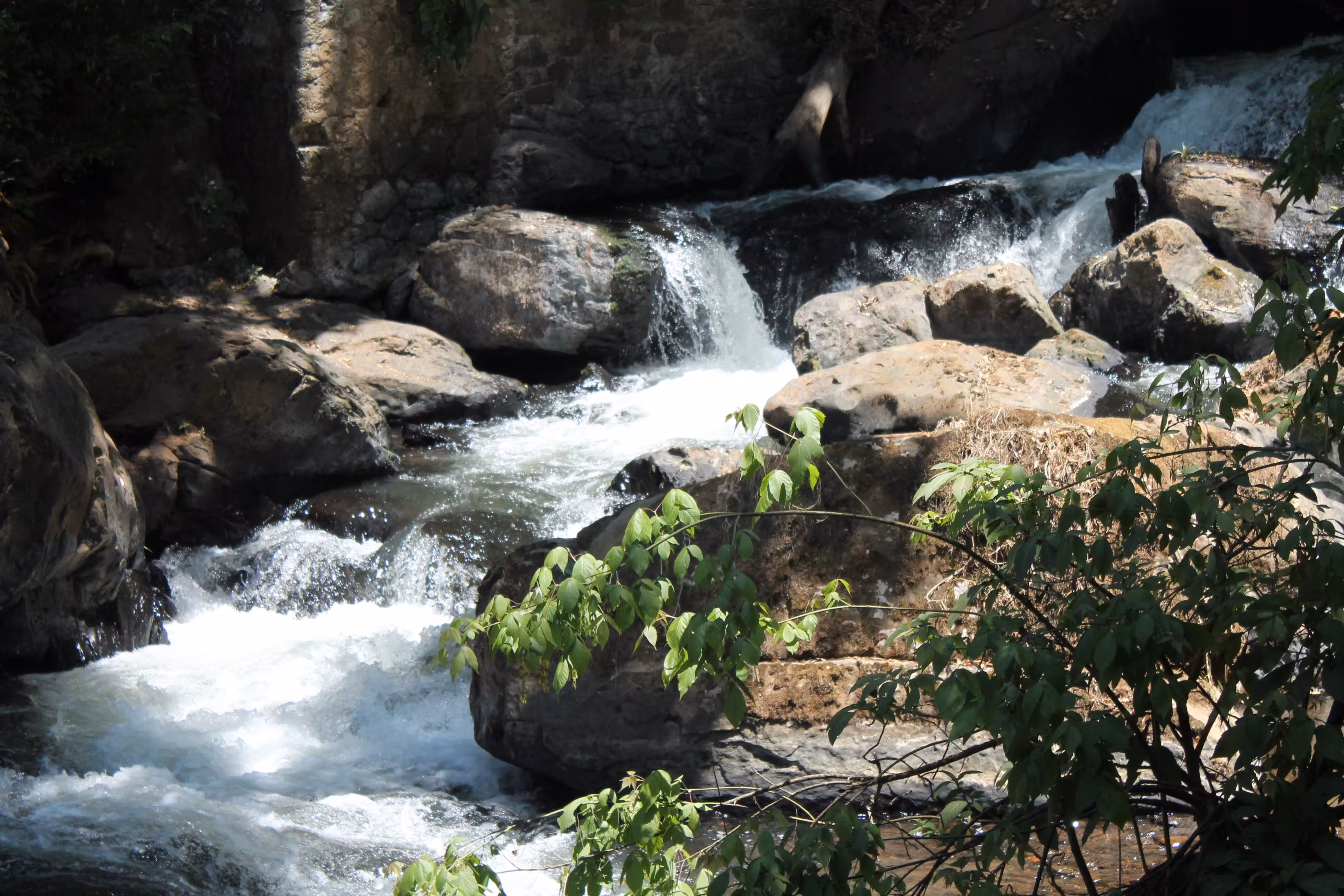 Wild flow