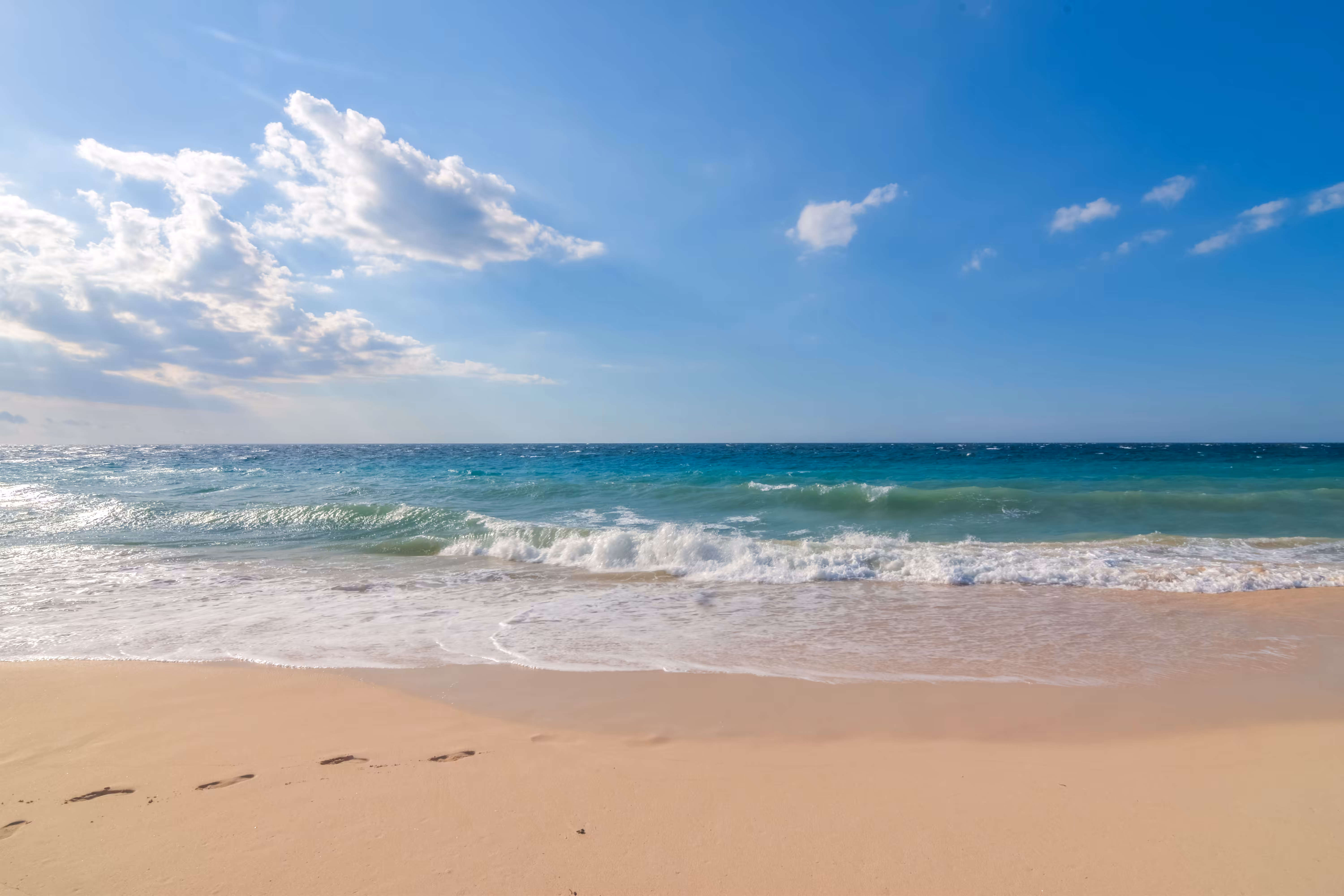 Vitamin Sea #3