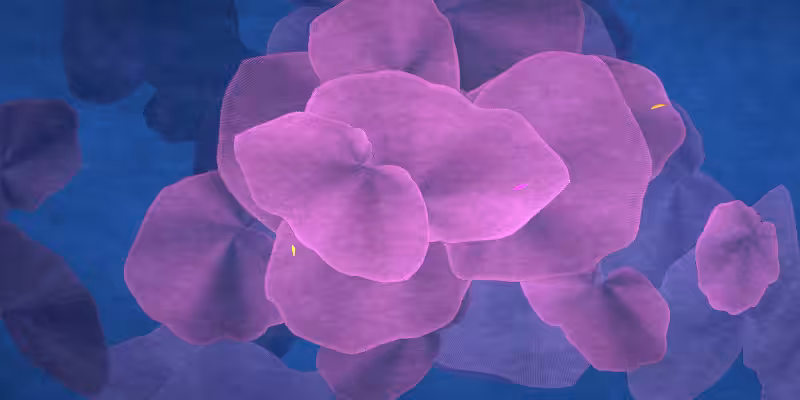 The Restoration Scheme: Reefs #61