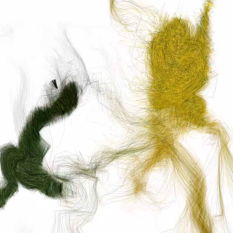 Hypericum #207