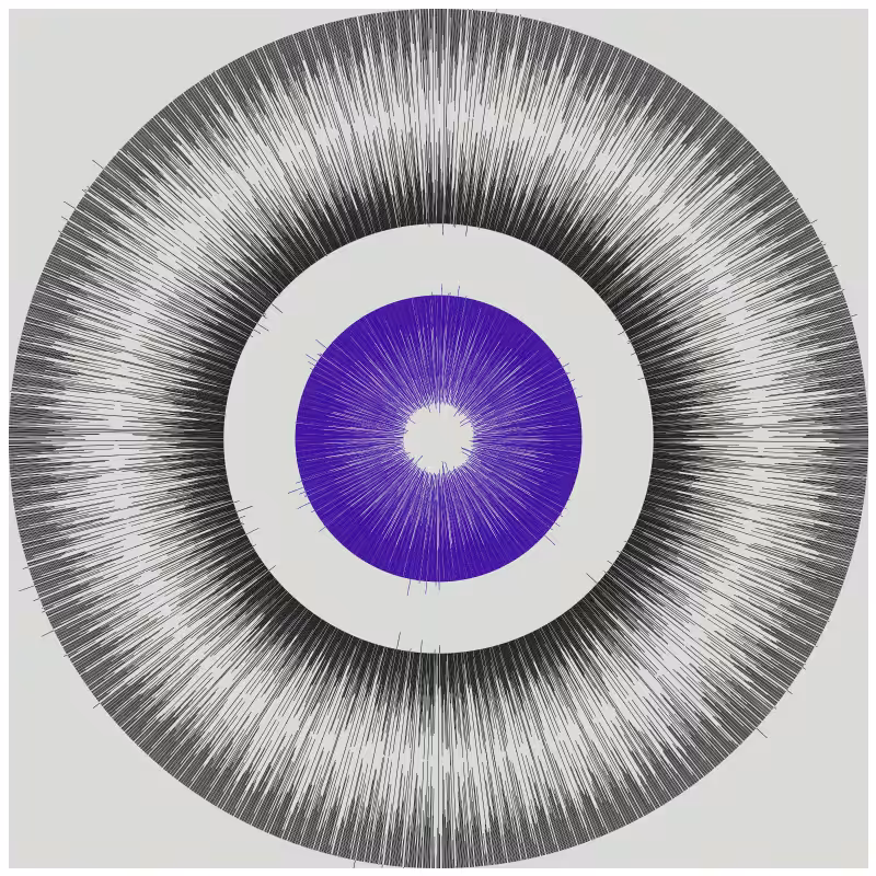 Circular Flow #9