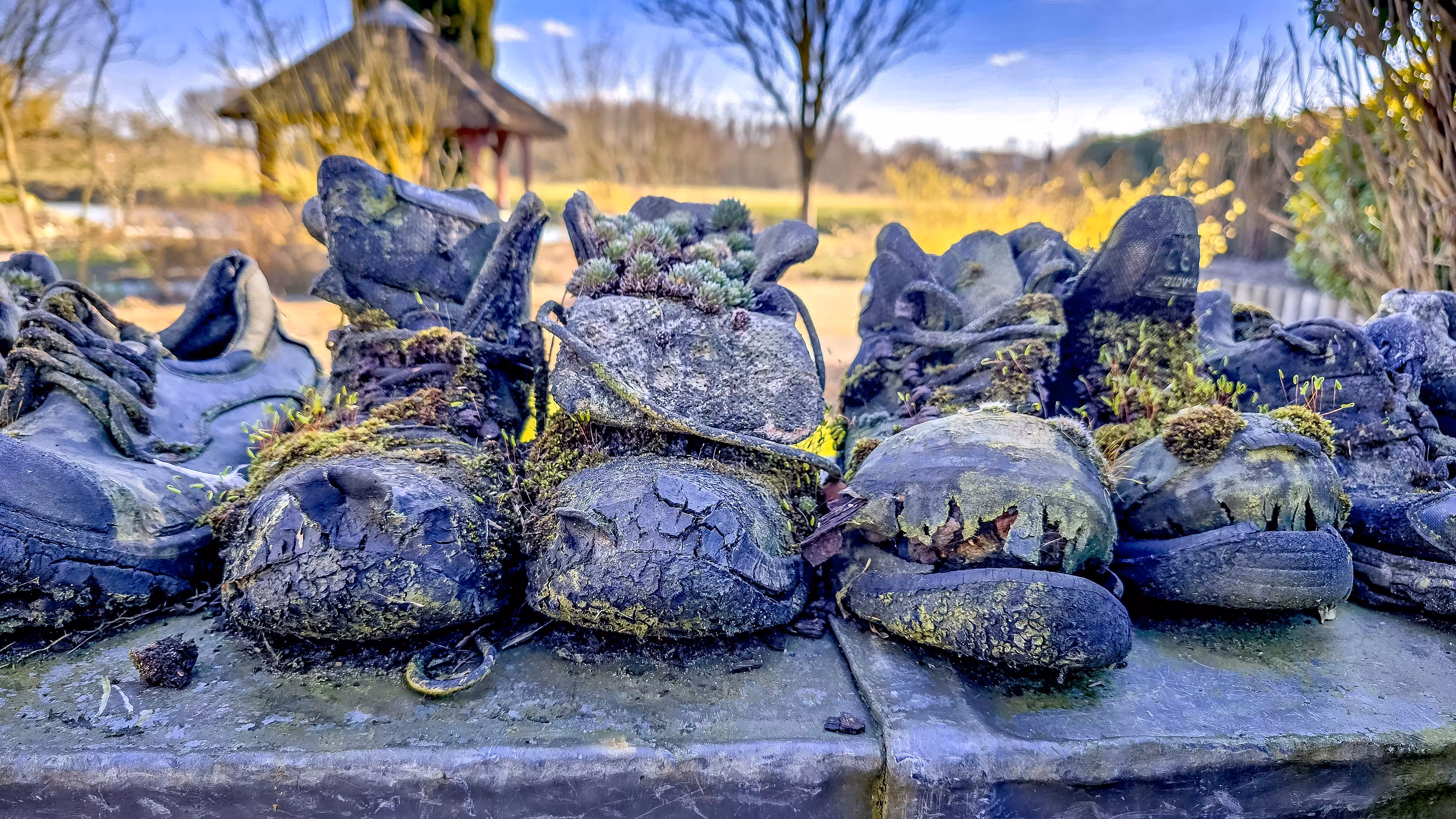 Old Boots at the Gardens of Appeltern