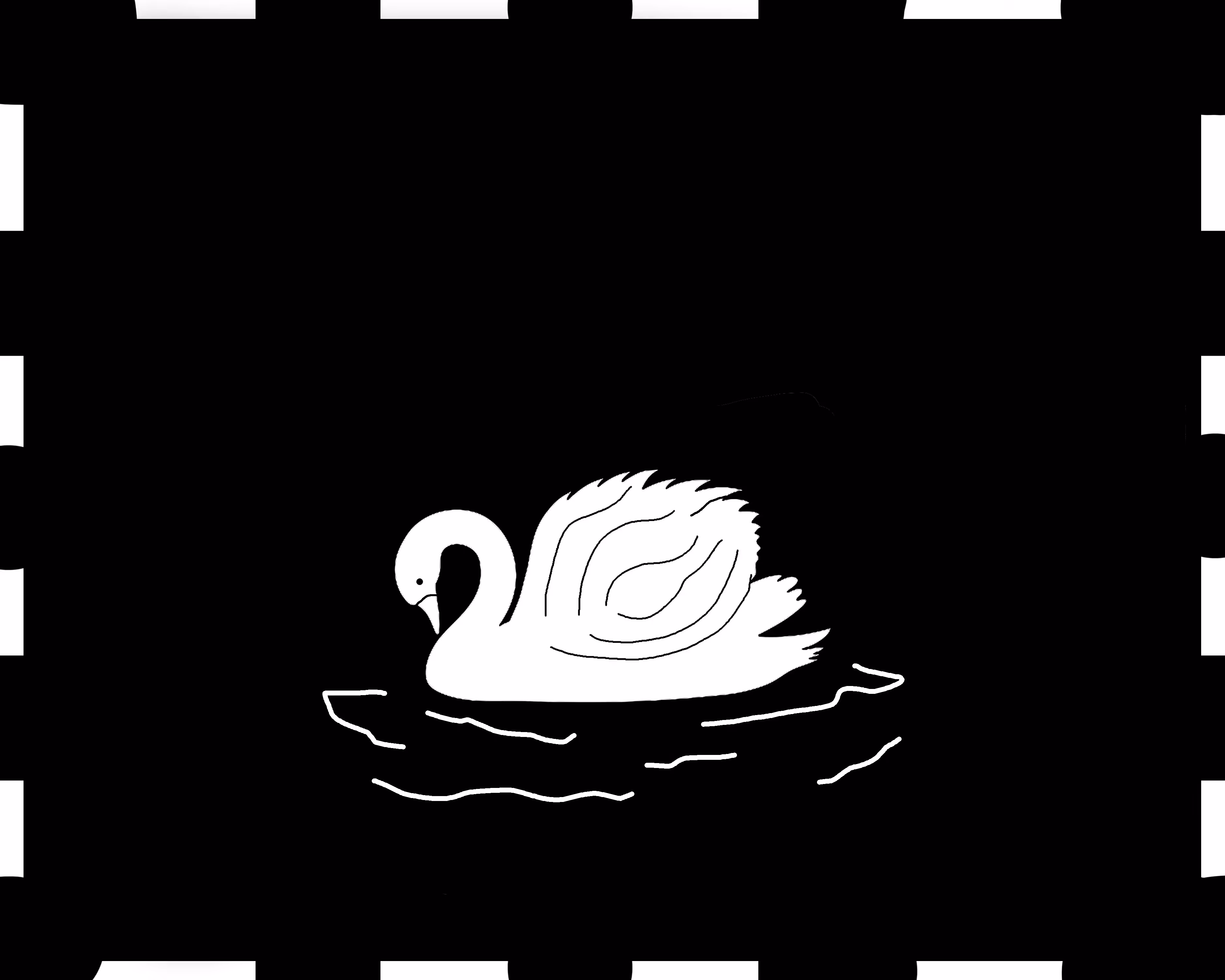 The Swan