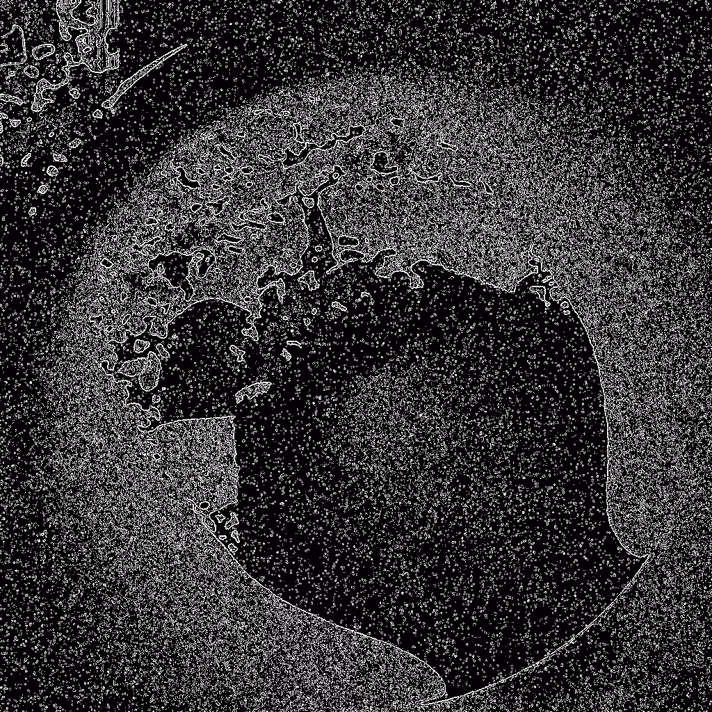 HIDDEN IN NOISE: Noise #552 