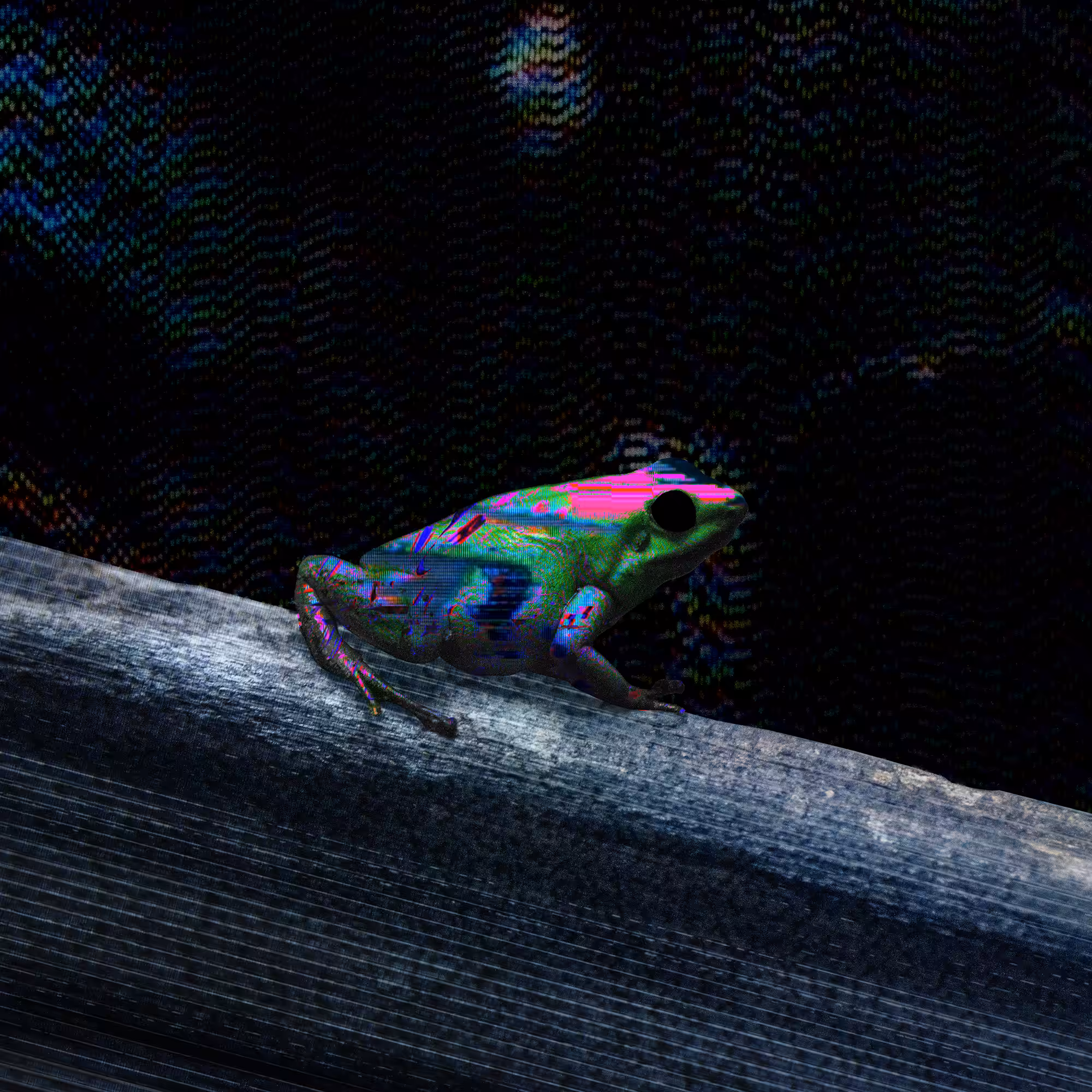 fr0̷g_010