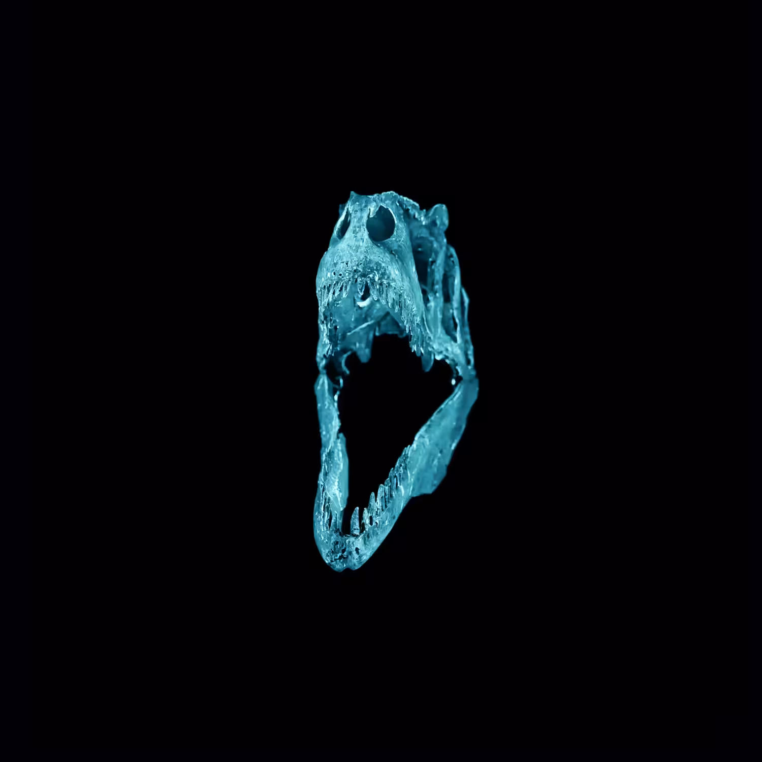 GLACIER