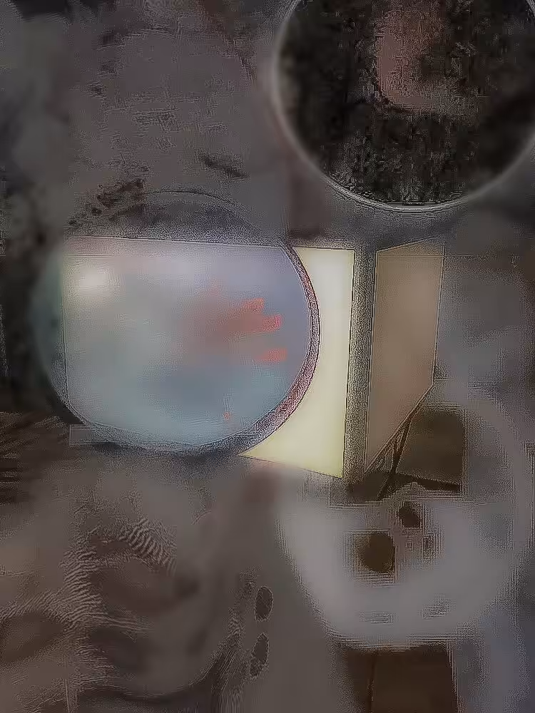 lt2u09ma.magnetic gh.auzst