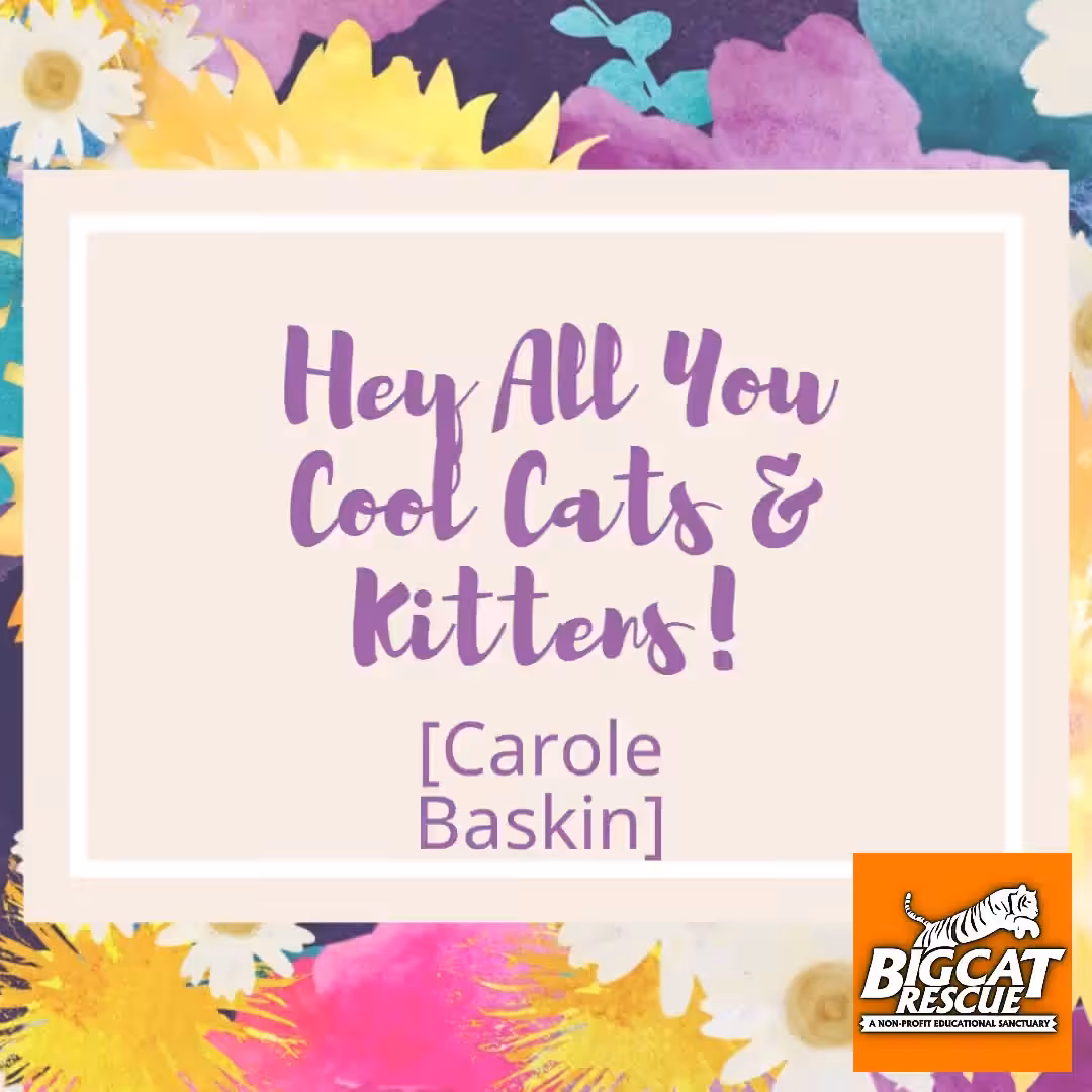 Hey All You Cool Cats & Kittens 1.0