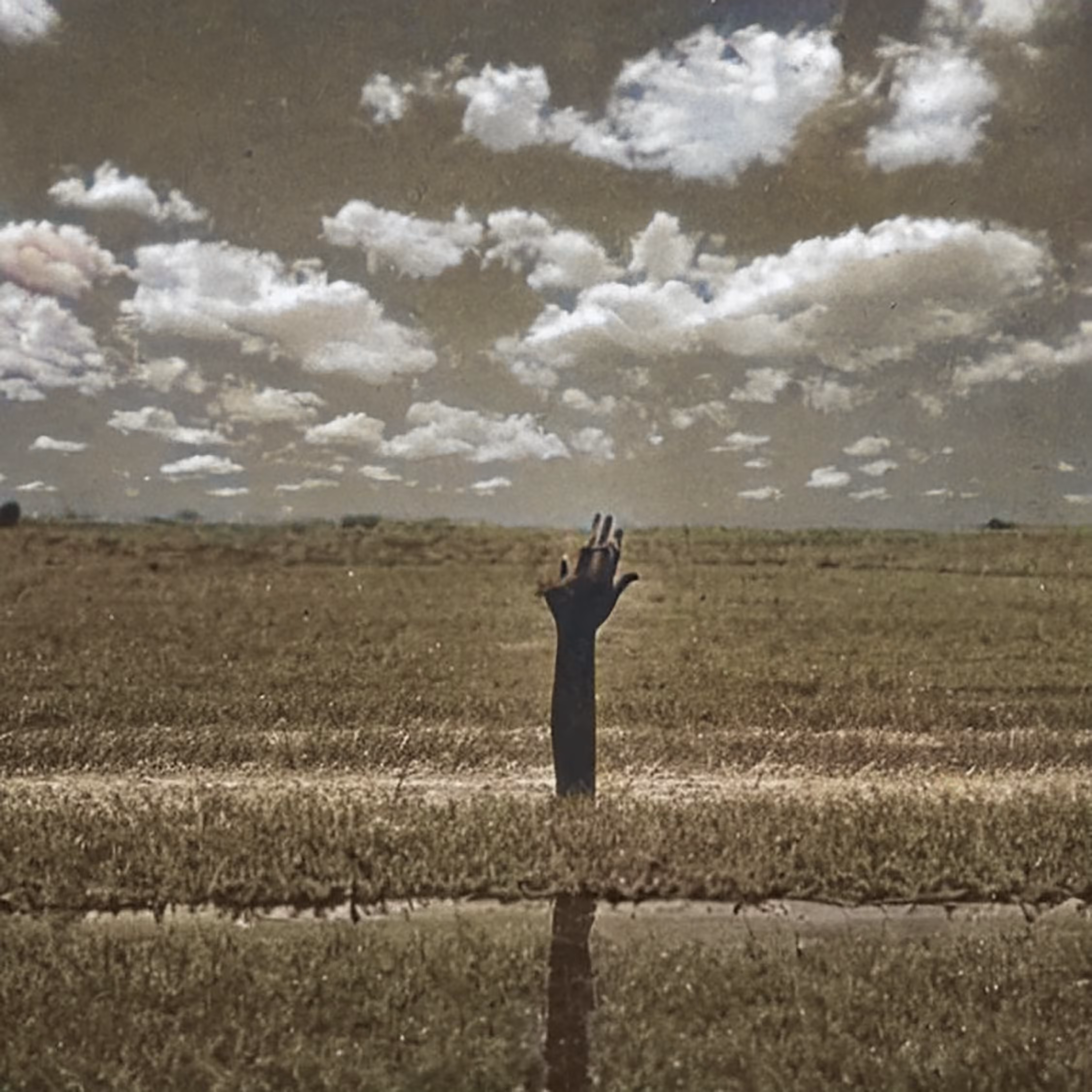 Fields: Flats 14