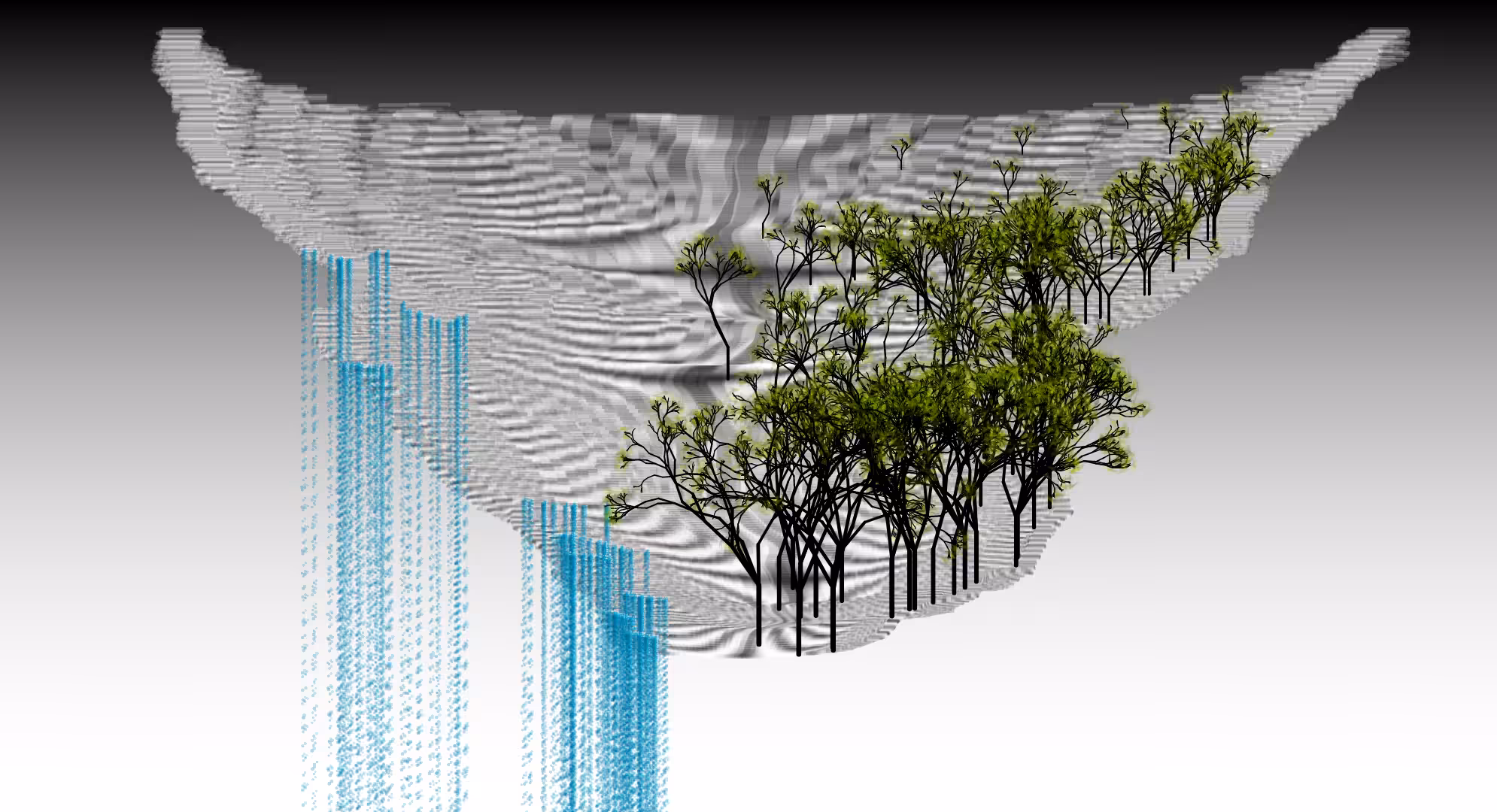 Flow and Flora #4
