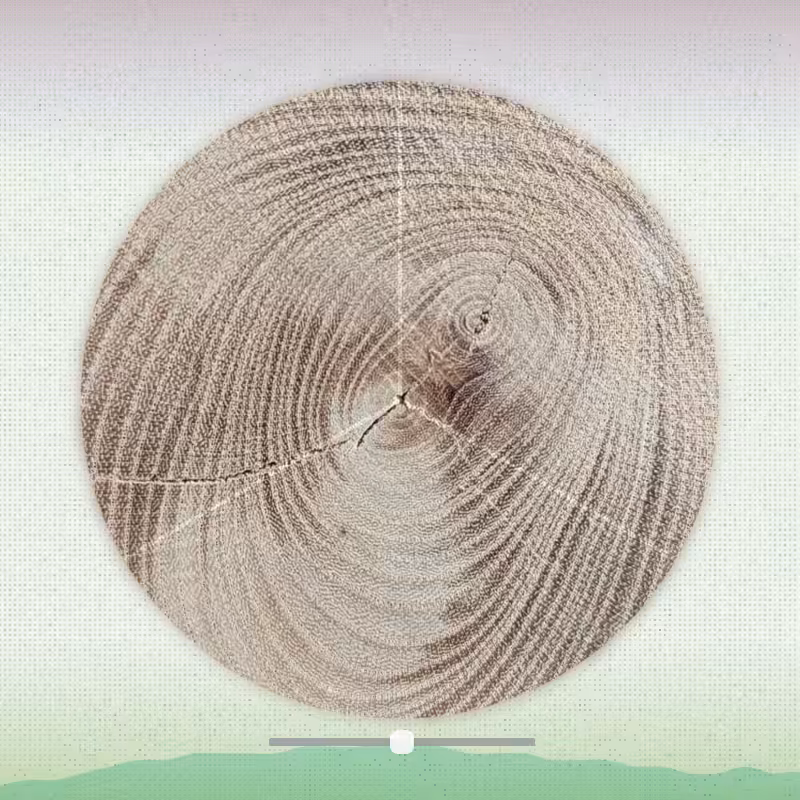 Tree ring waltz #3