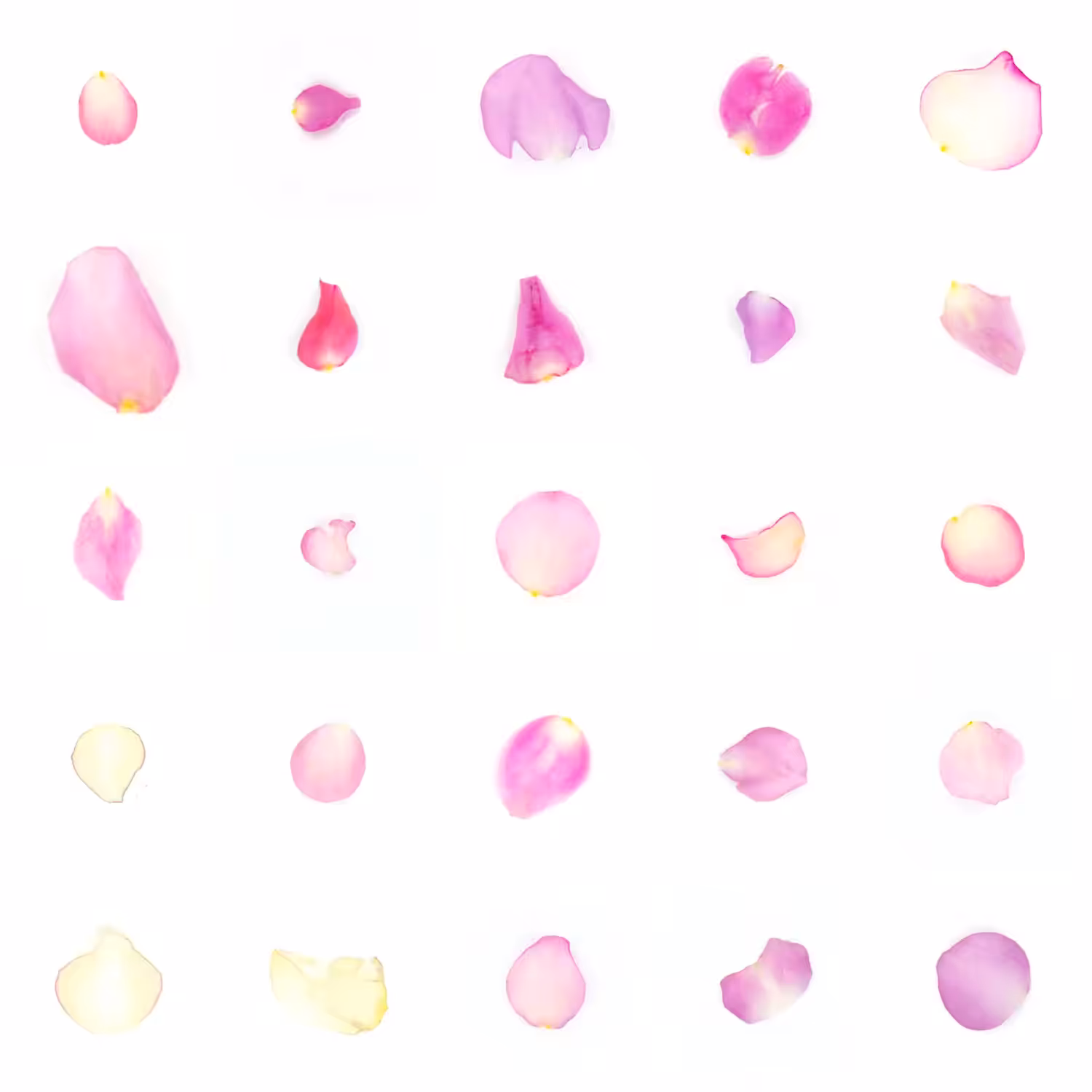 Infinite Petals 5x5#20900