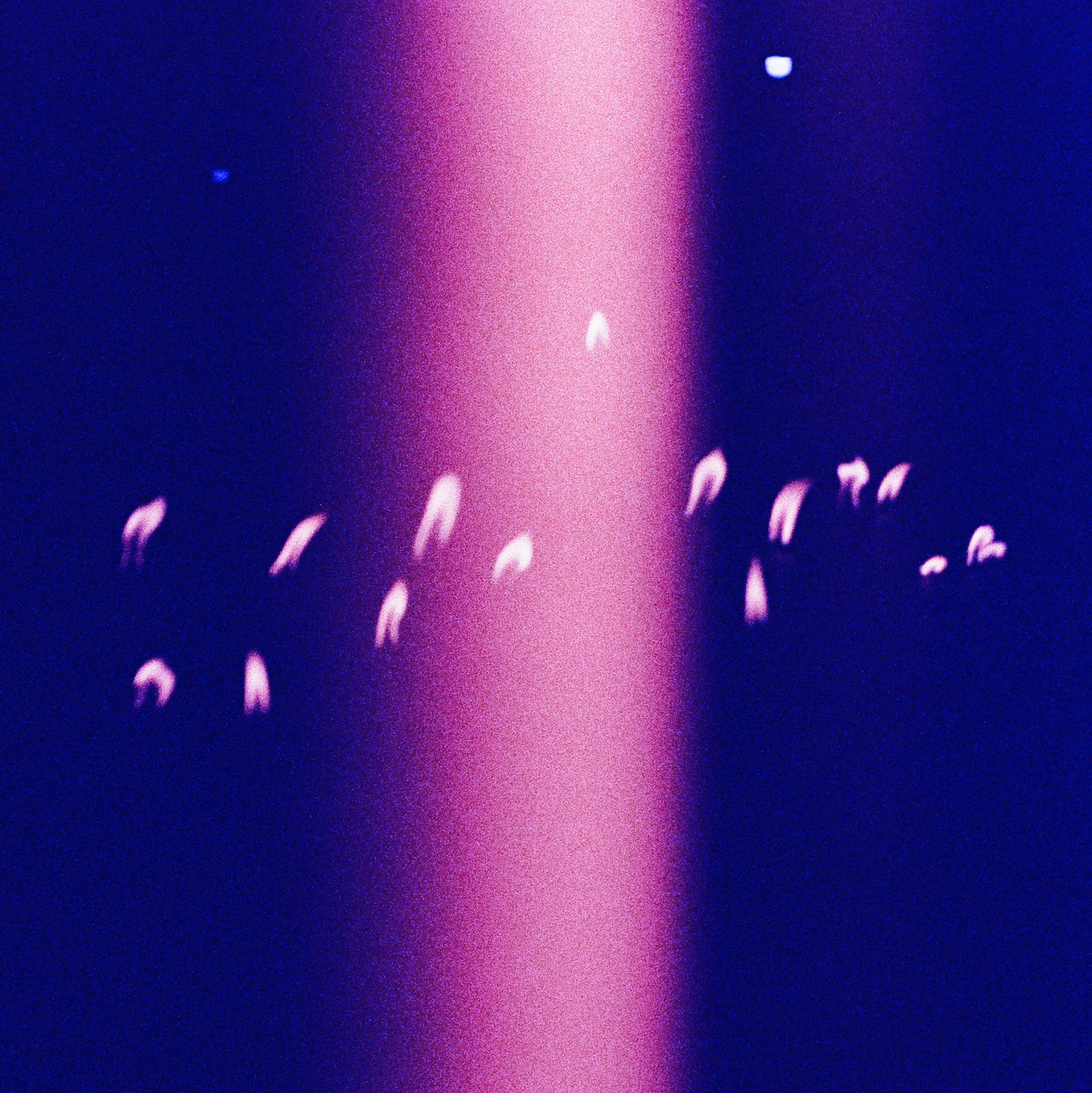 The Little Lights