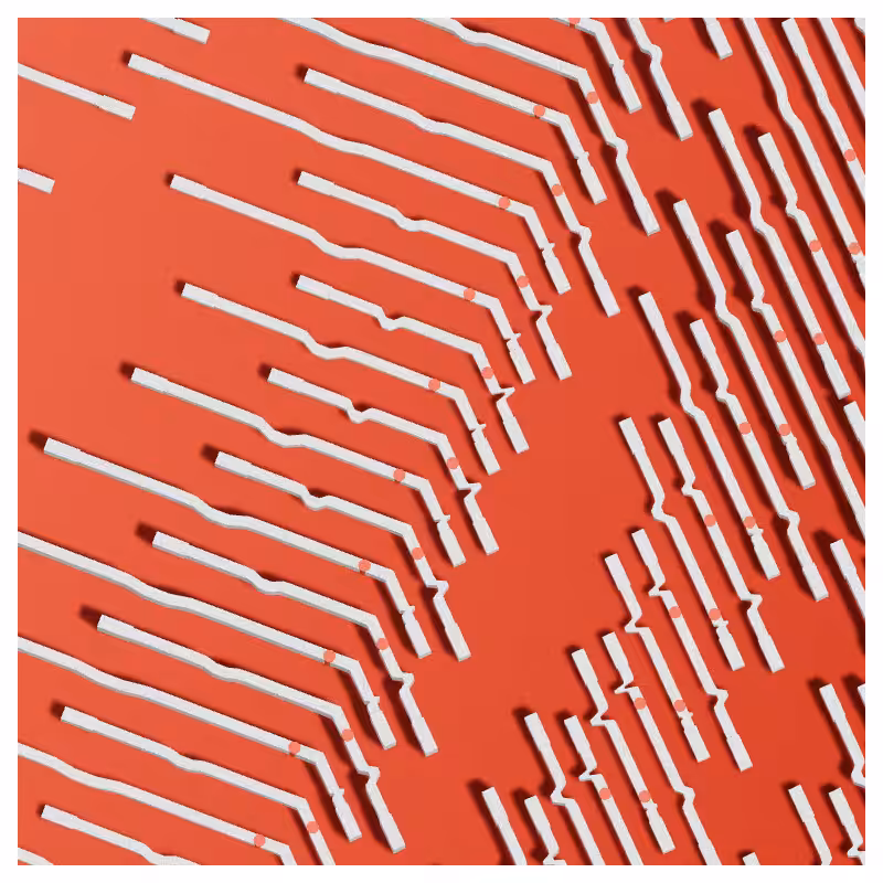 Neural Collapse #220