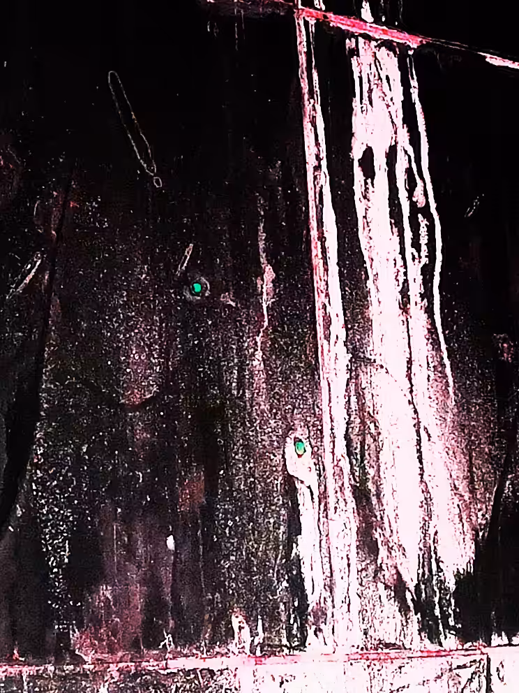 👻