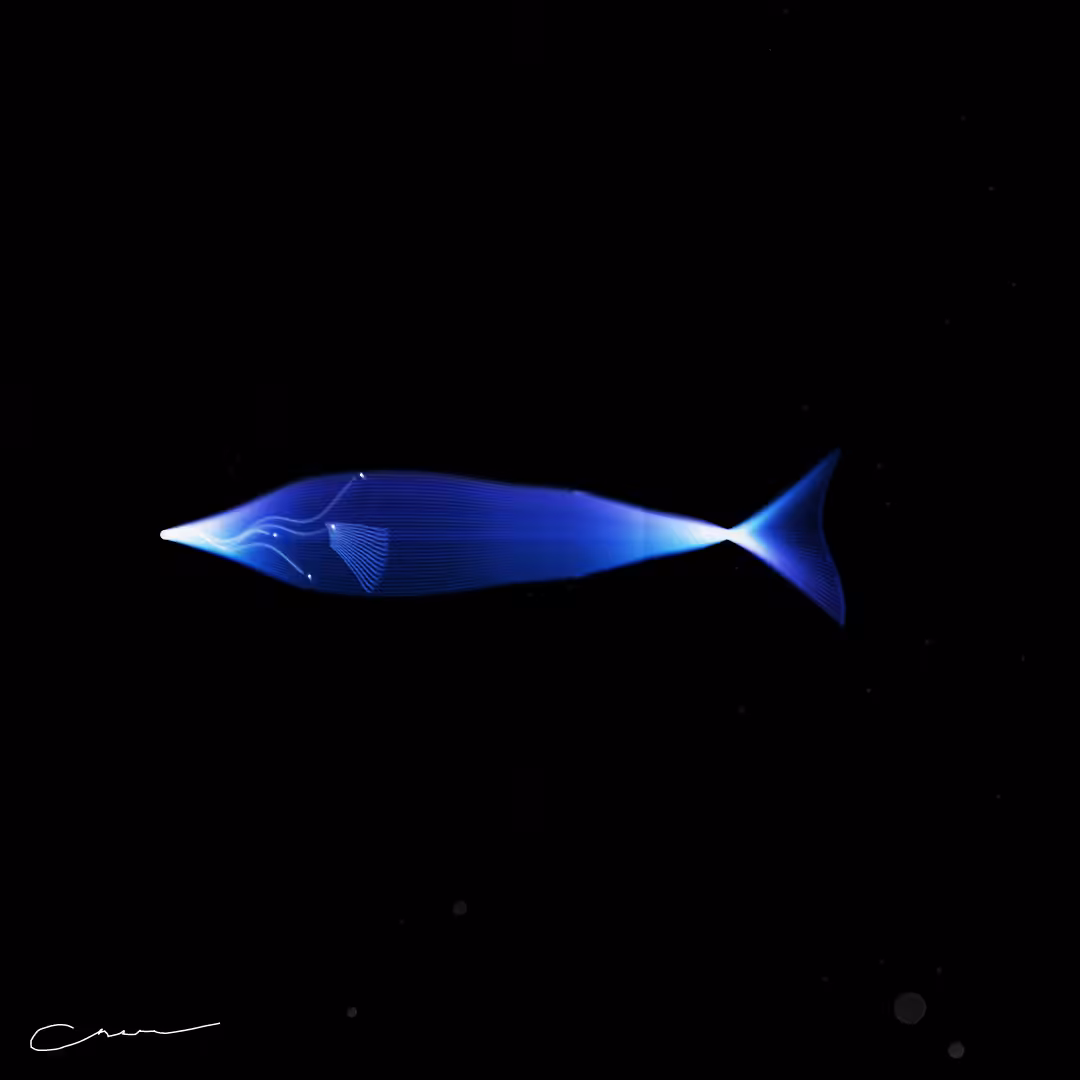 SoulFish #145