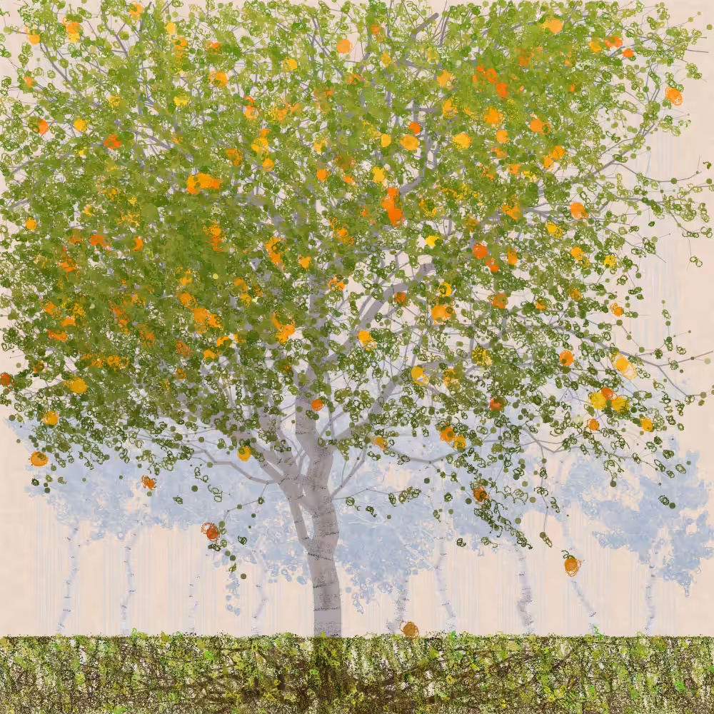 Orchard #52