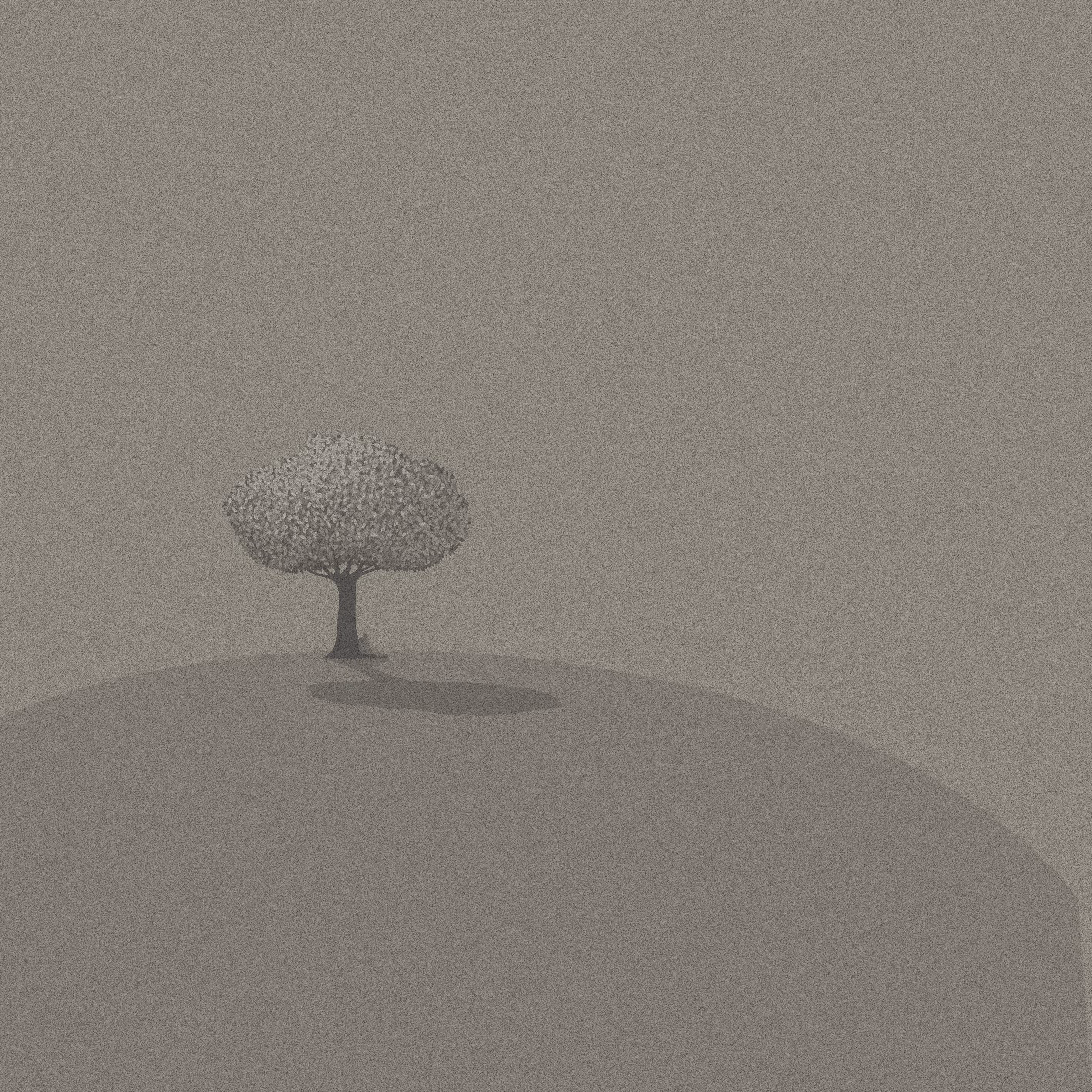 FanFlat #4
