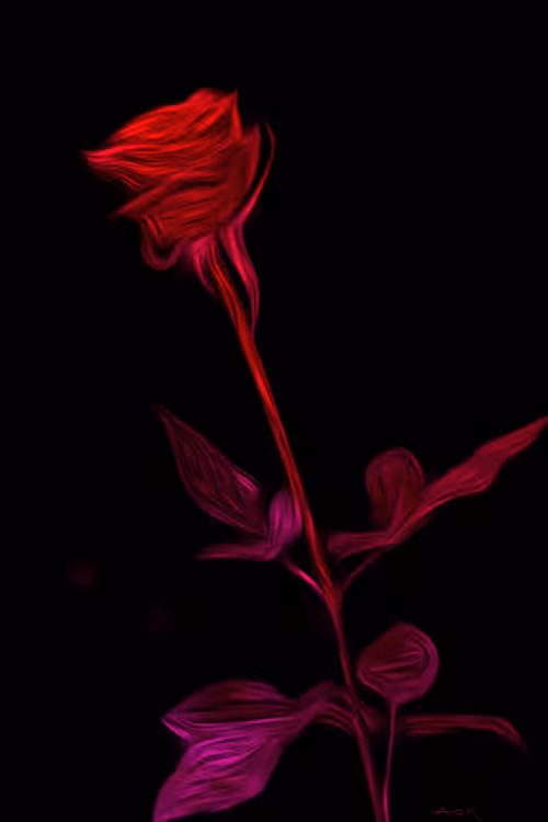 Rose De Feu