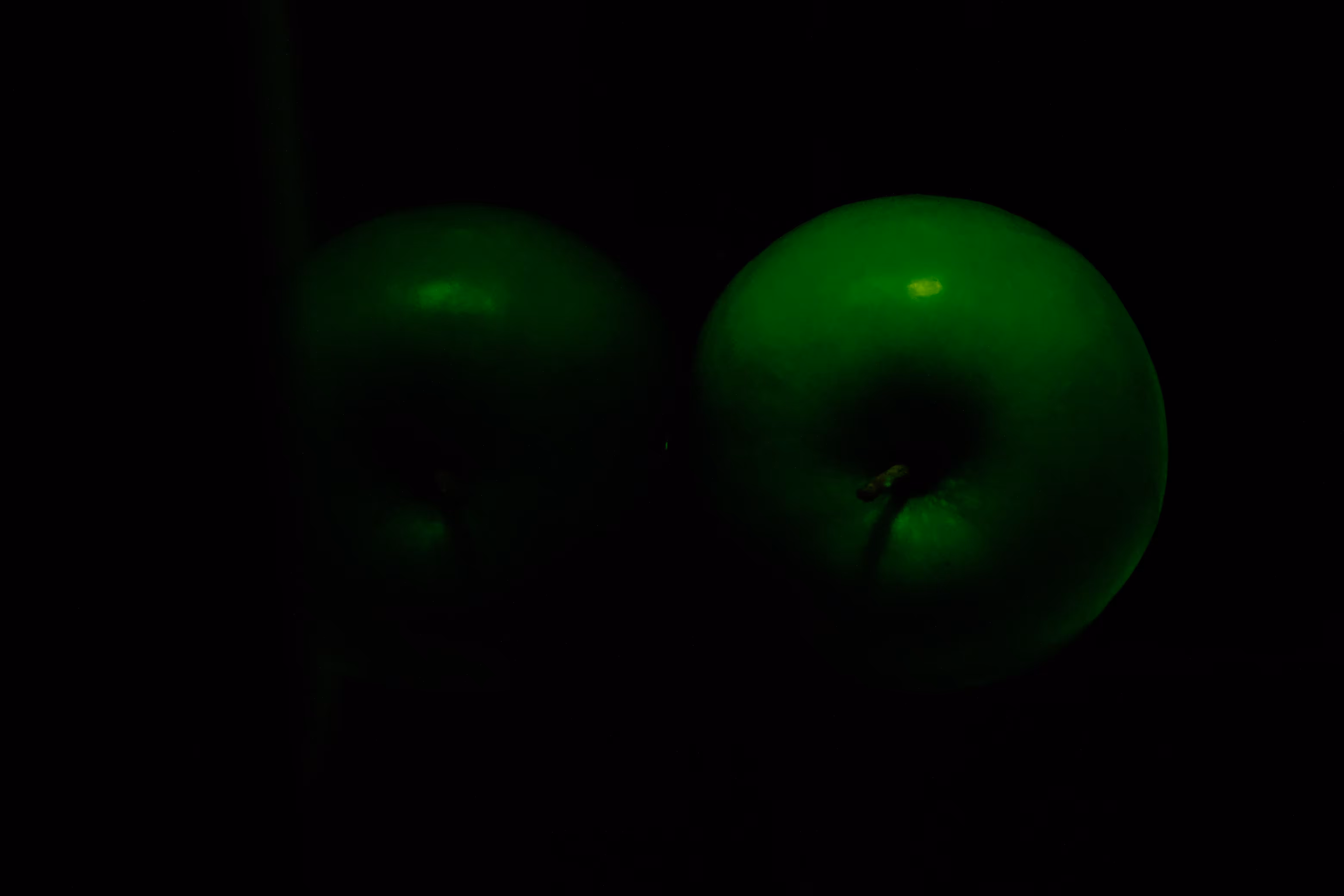 Photographer's DNA - #17
