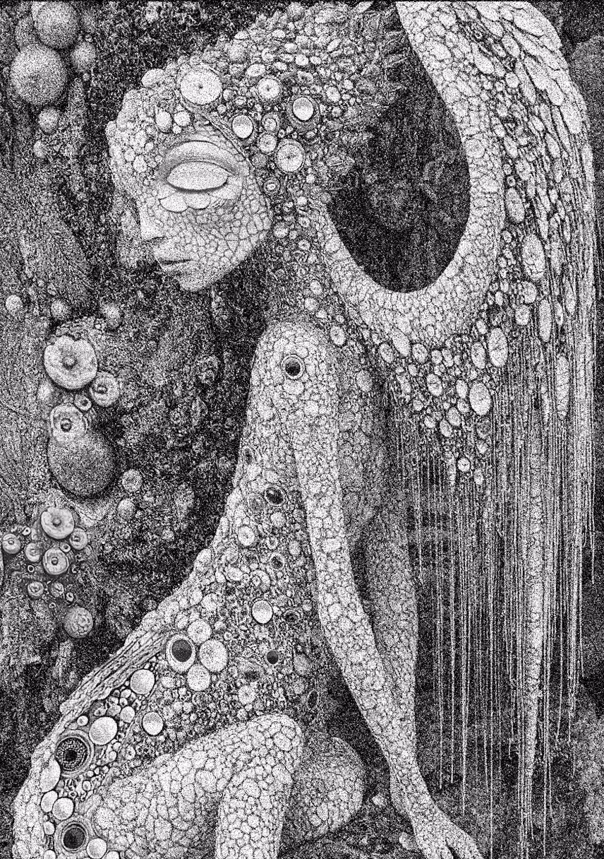 The Silent Stones #4