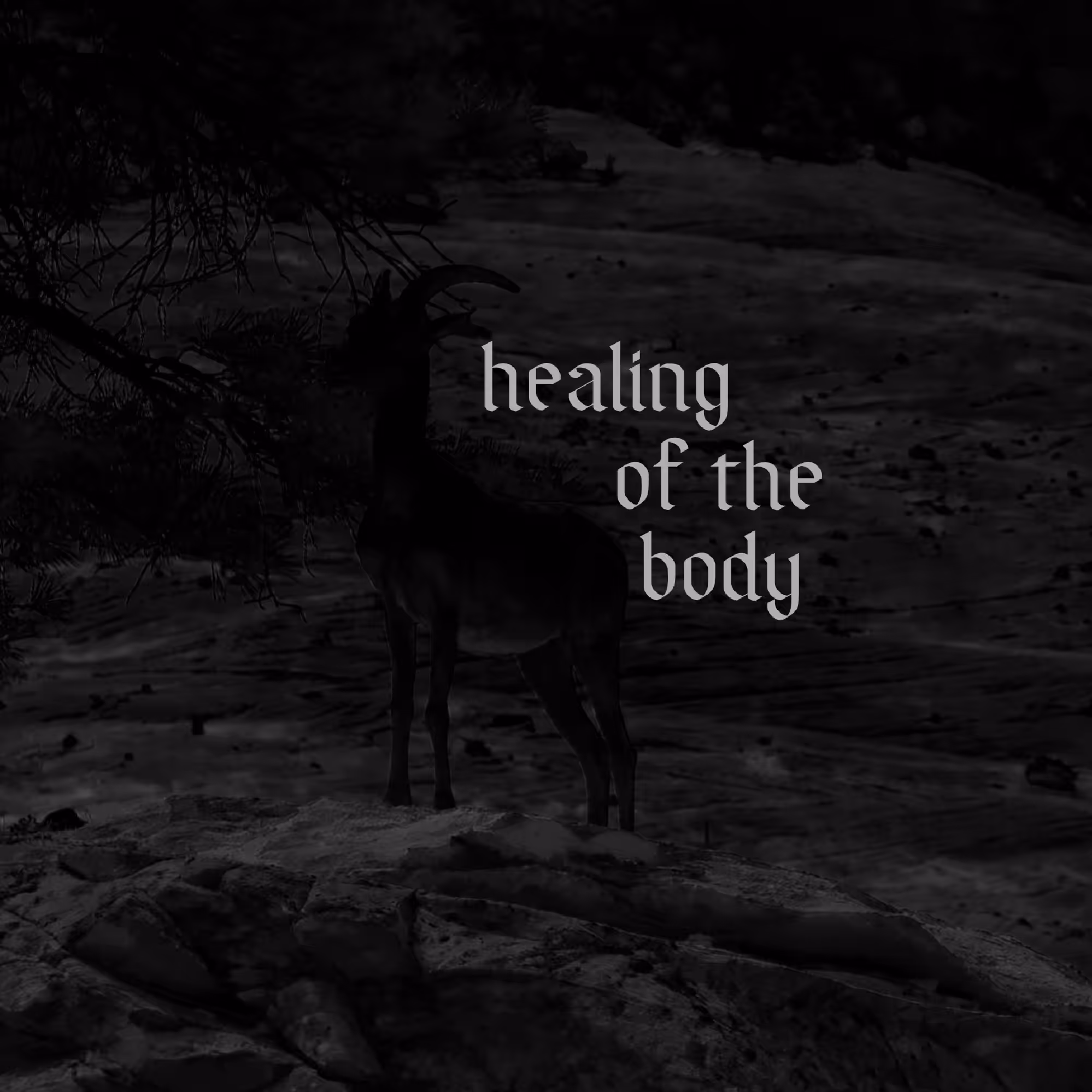 Healing of the body