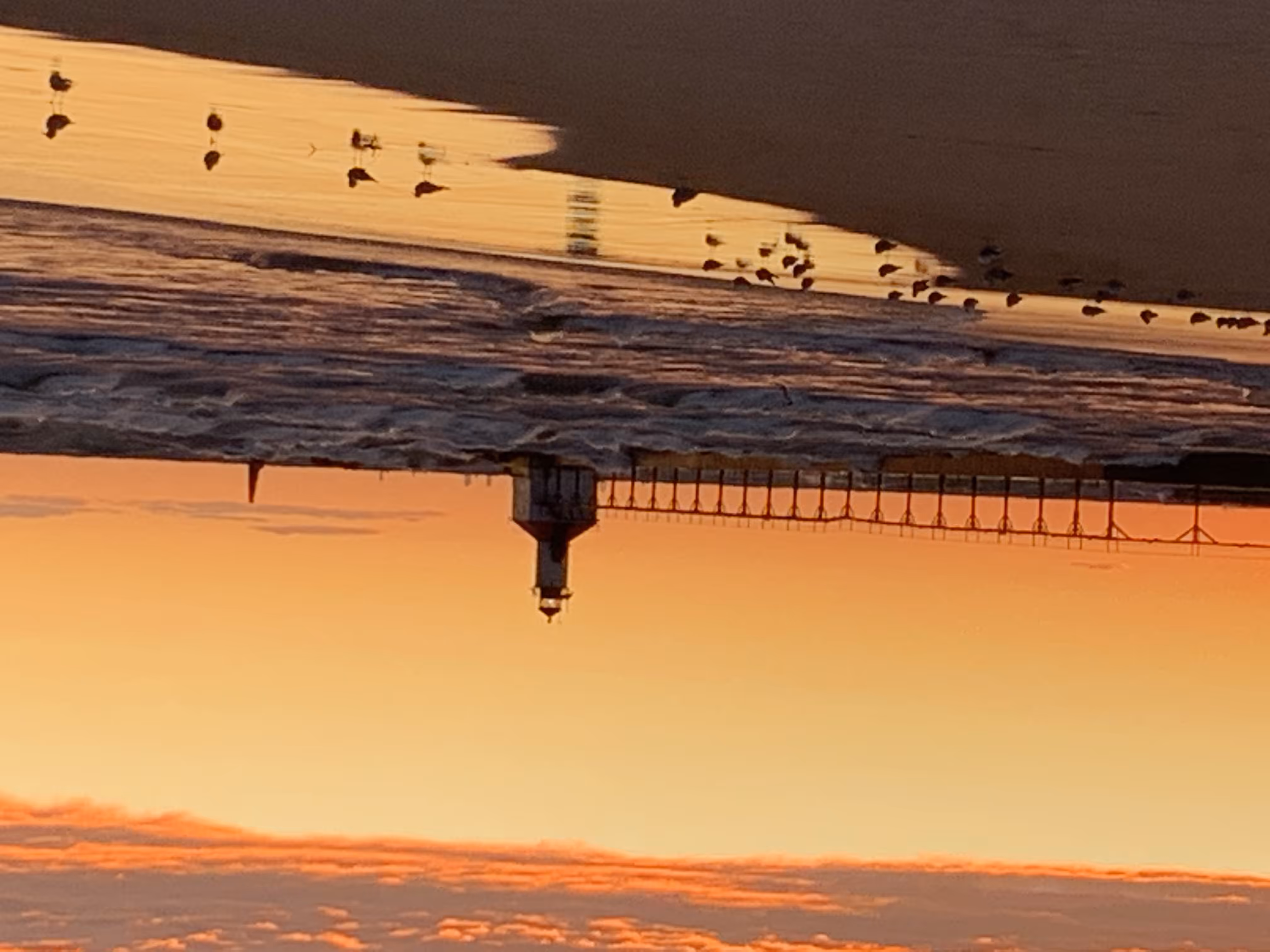 Life by the Lake