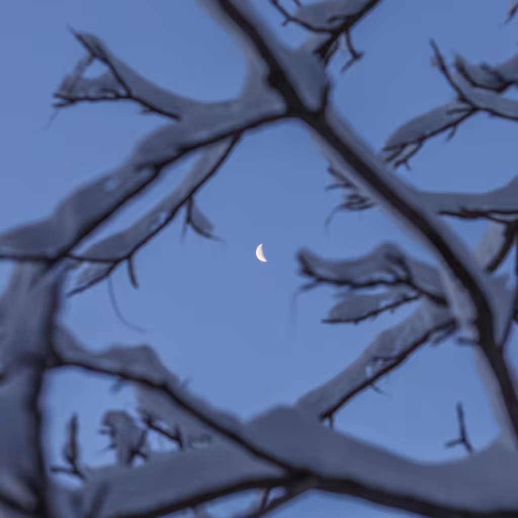 Rodeo posts: Croissant de lune @ Montreal