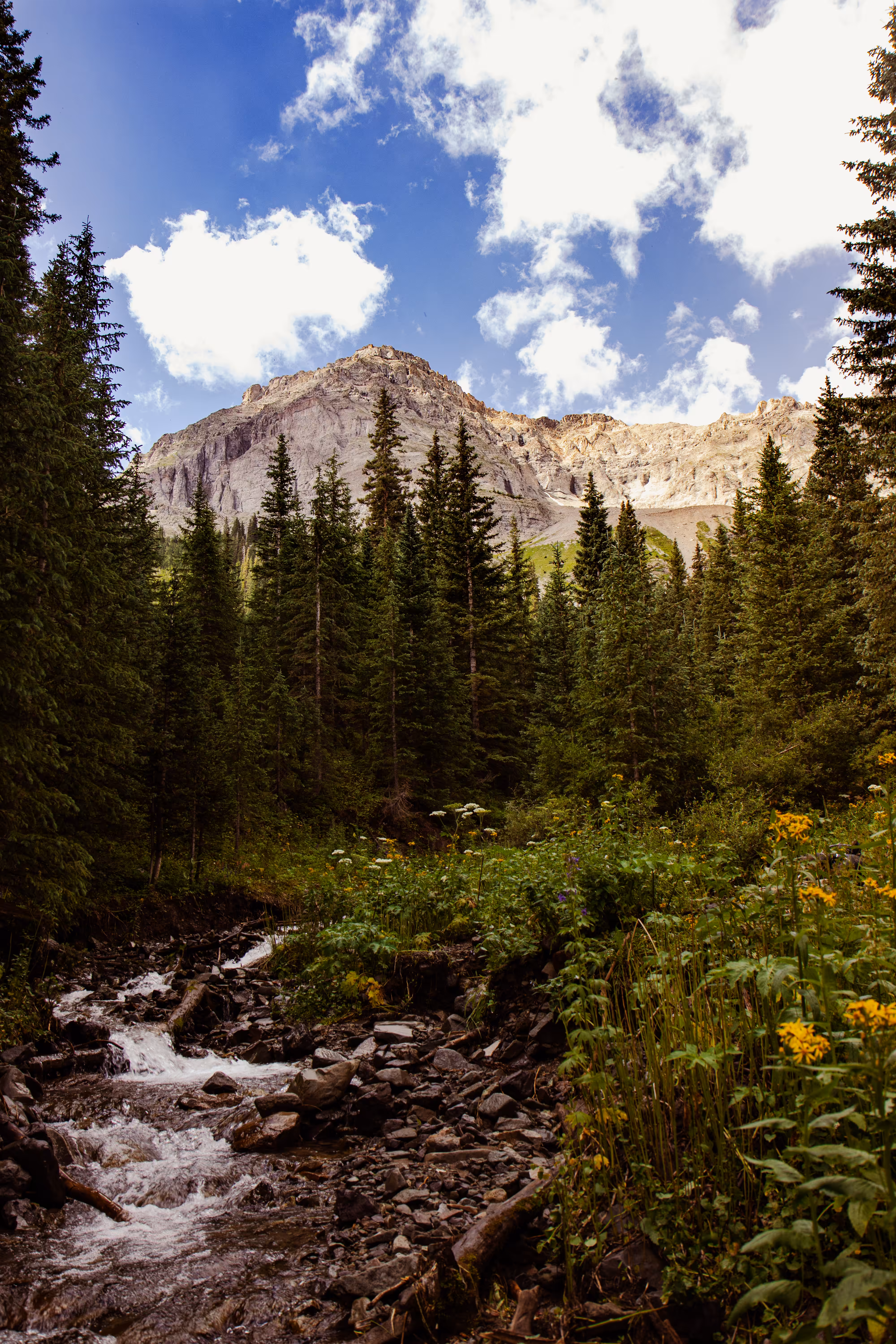 Rocky Mountain Streams