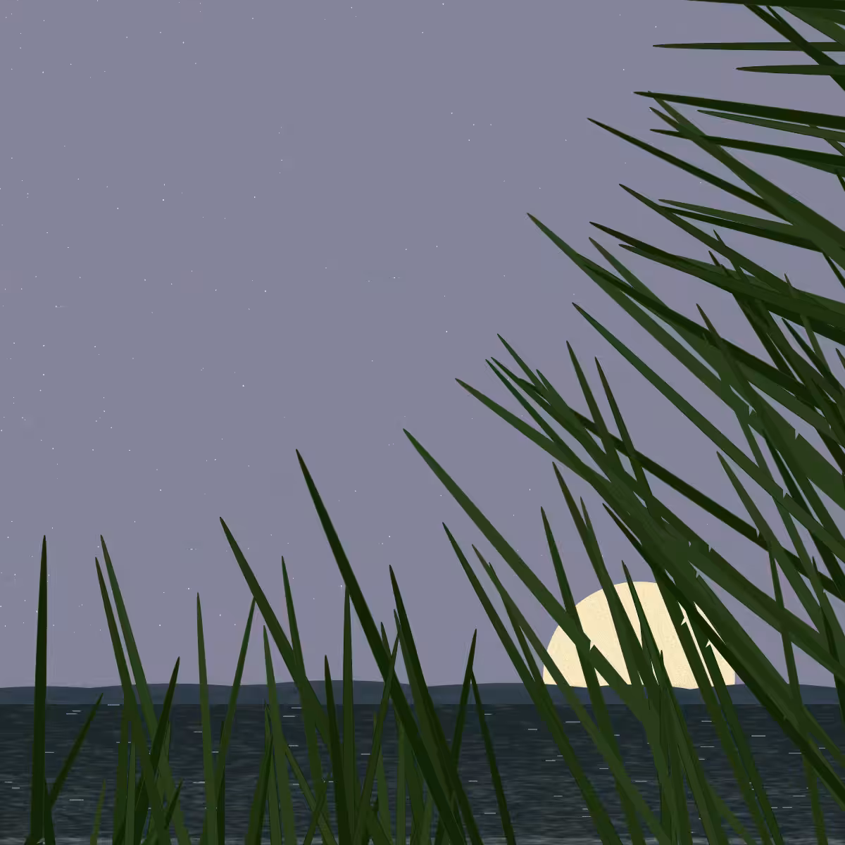 Ammophila dream #72