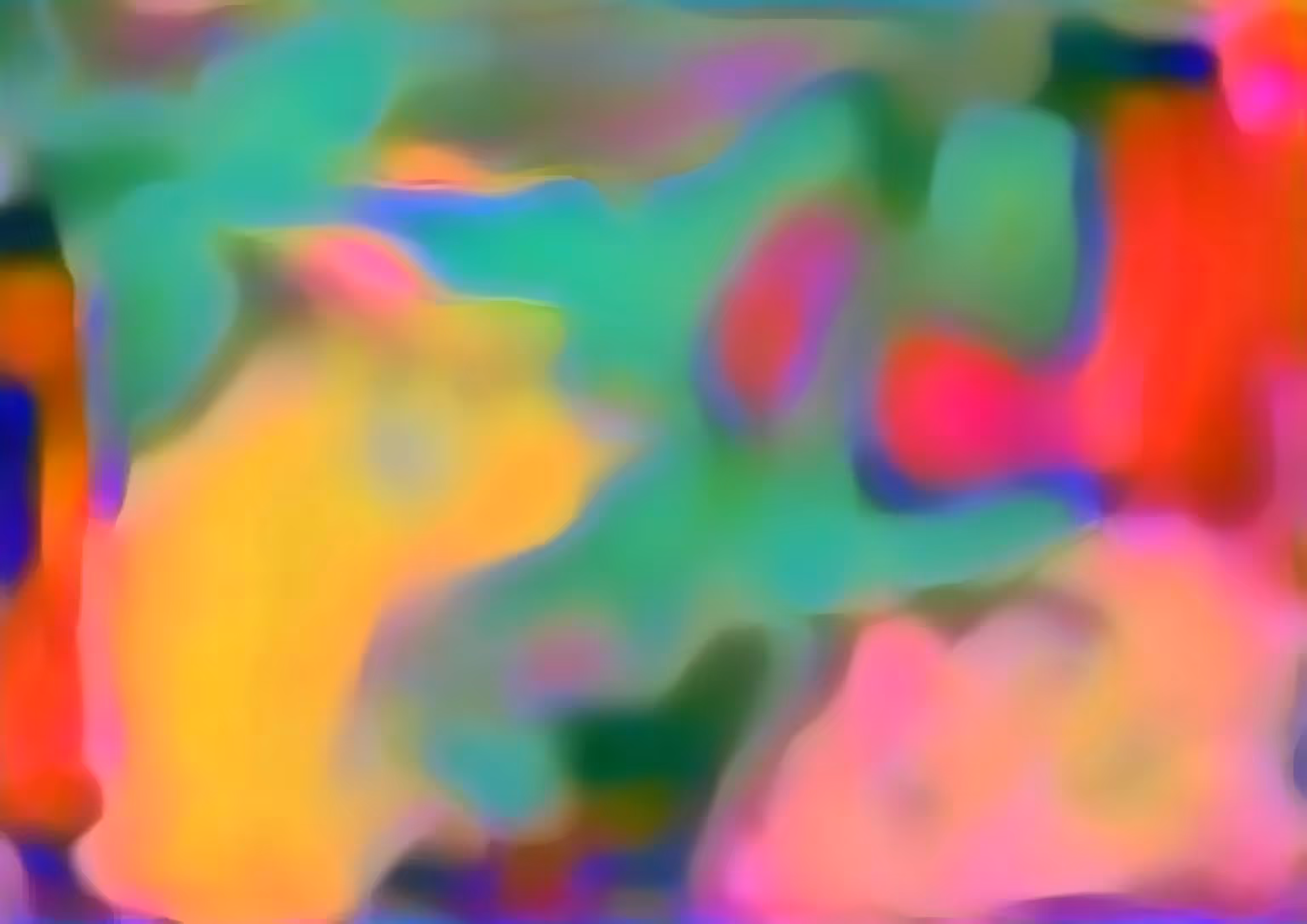 VISION