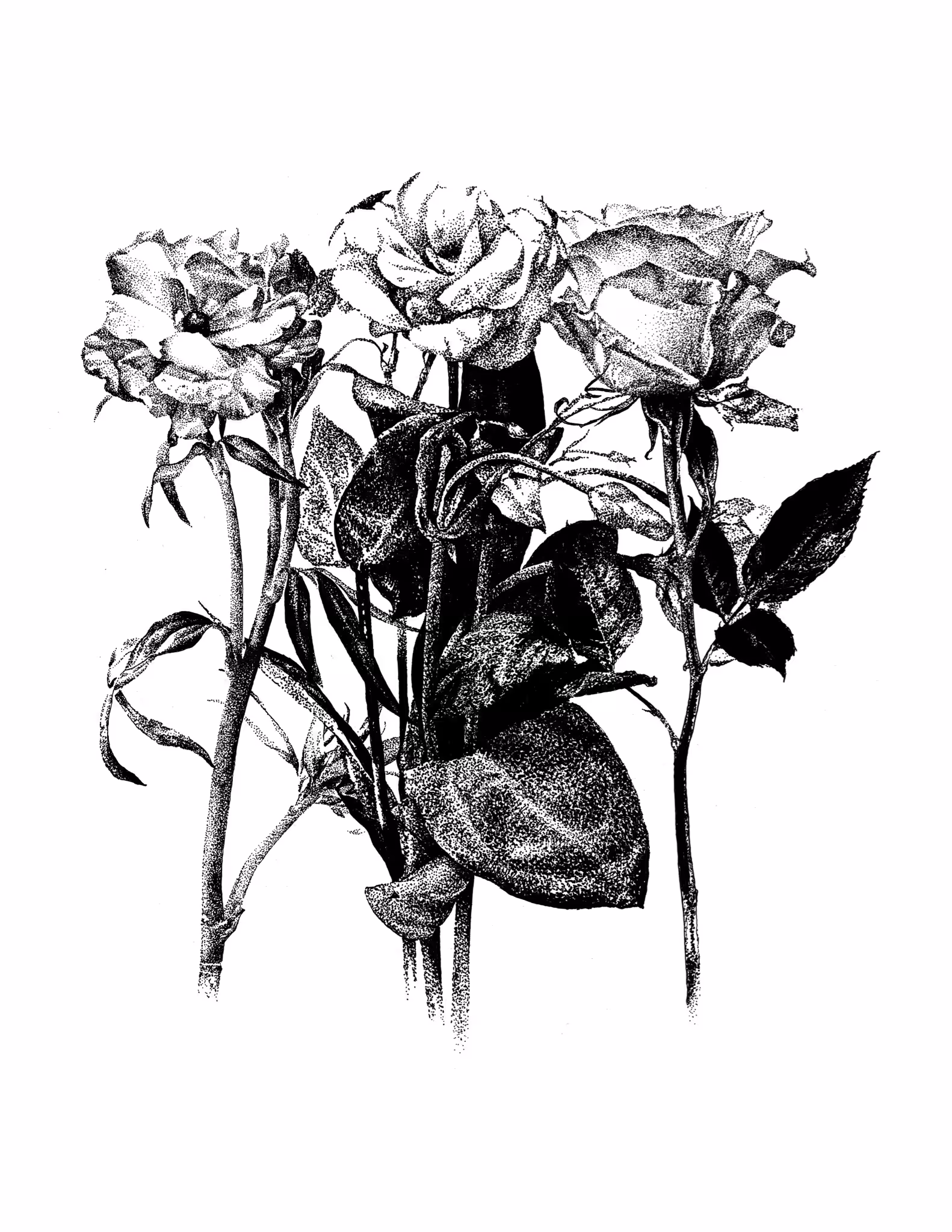 Floral Triptych