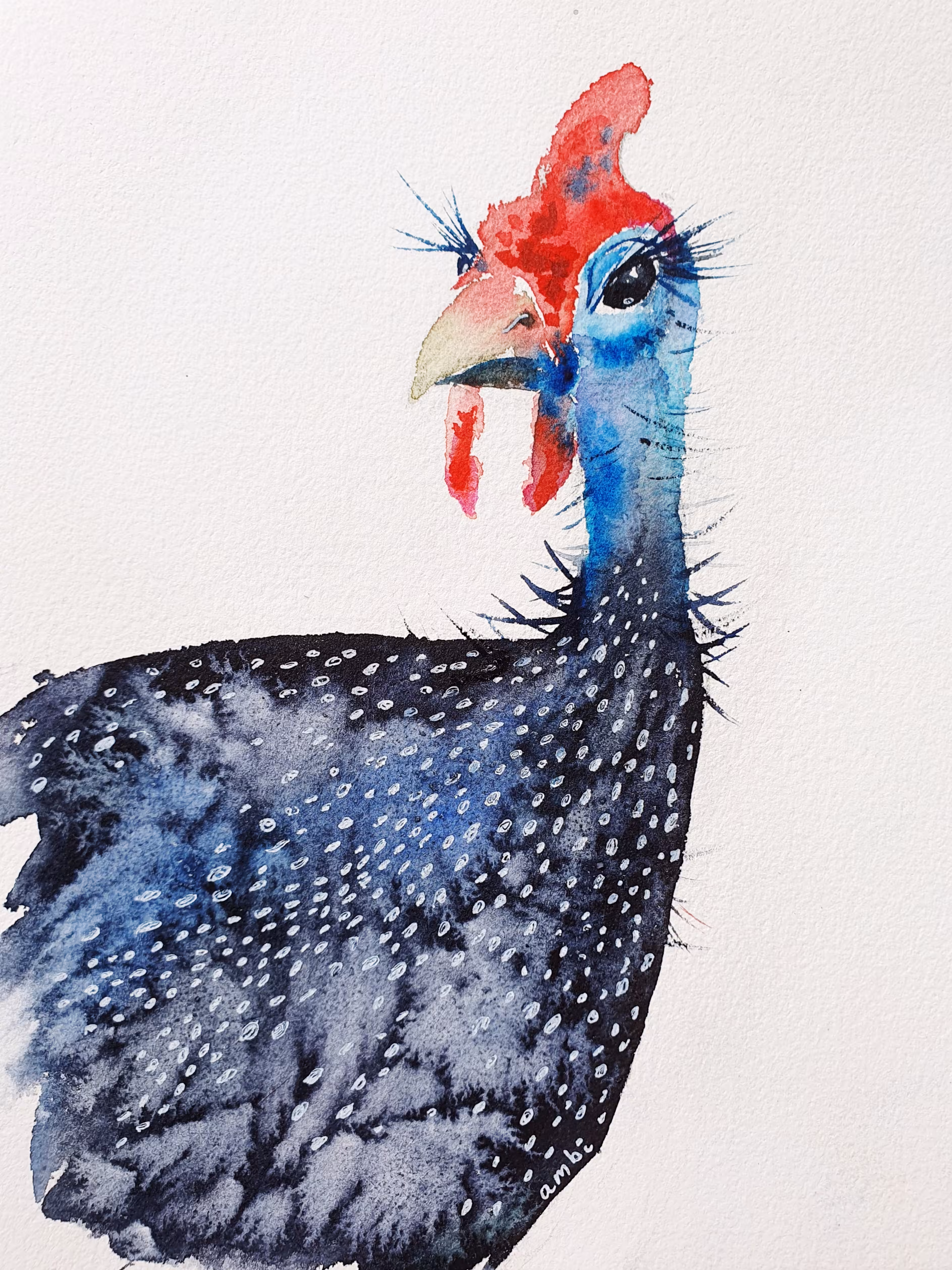 Pecky Birb