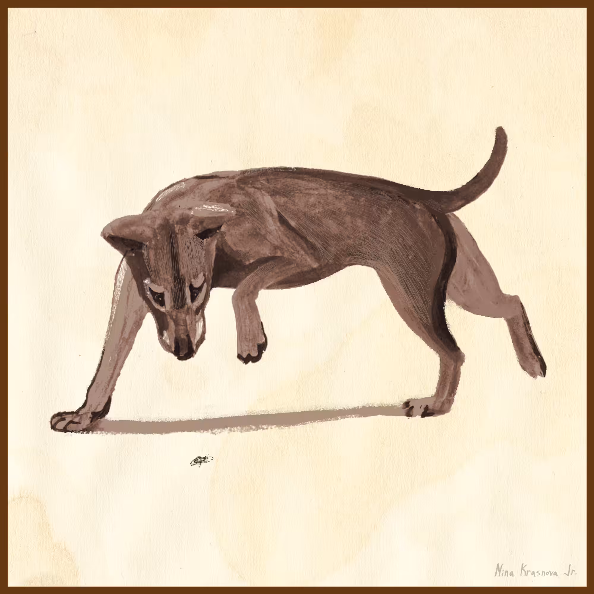 Wolf cub