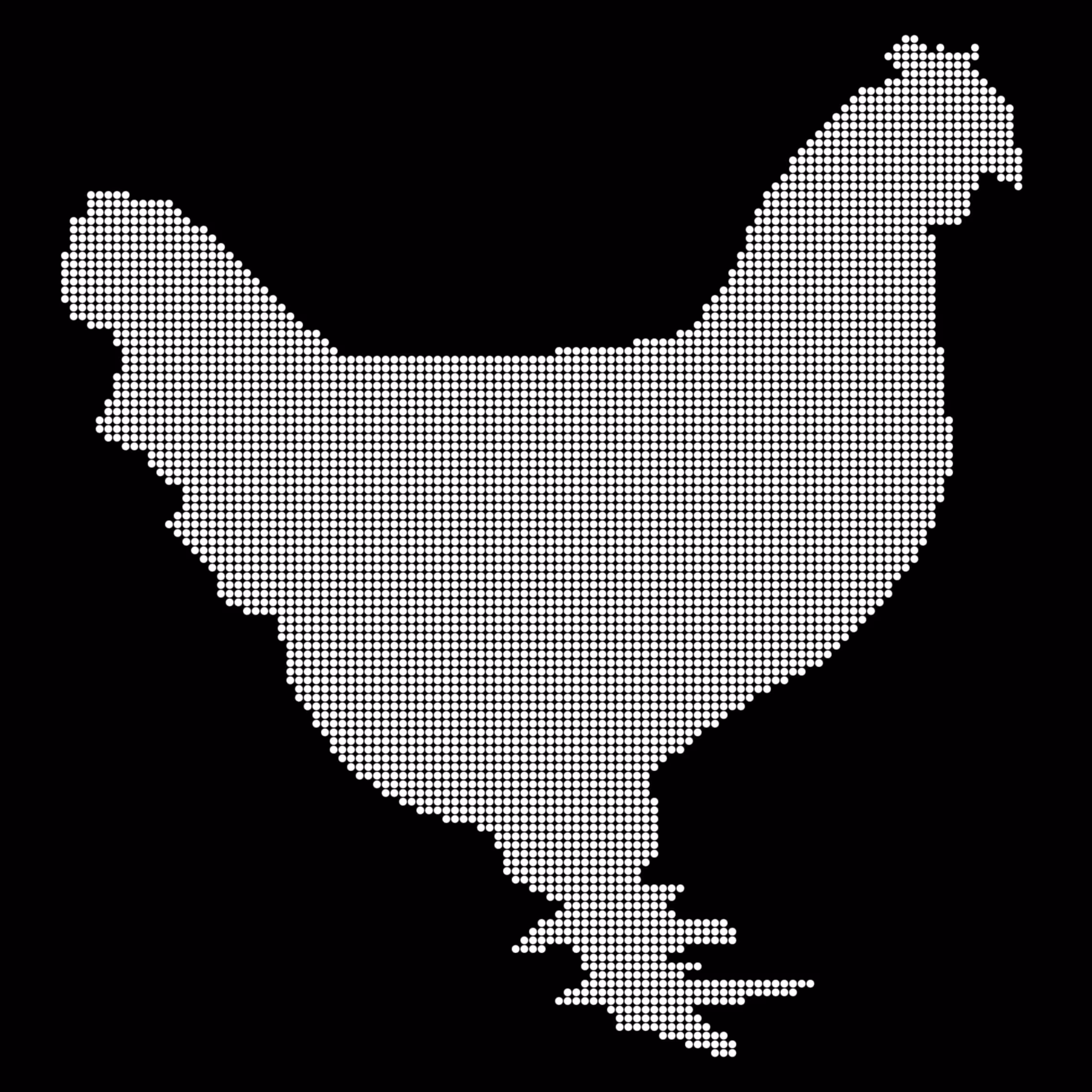 Rooster 44