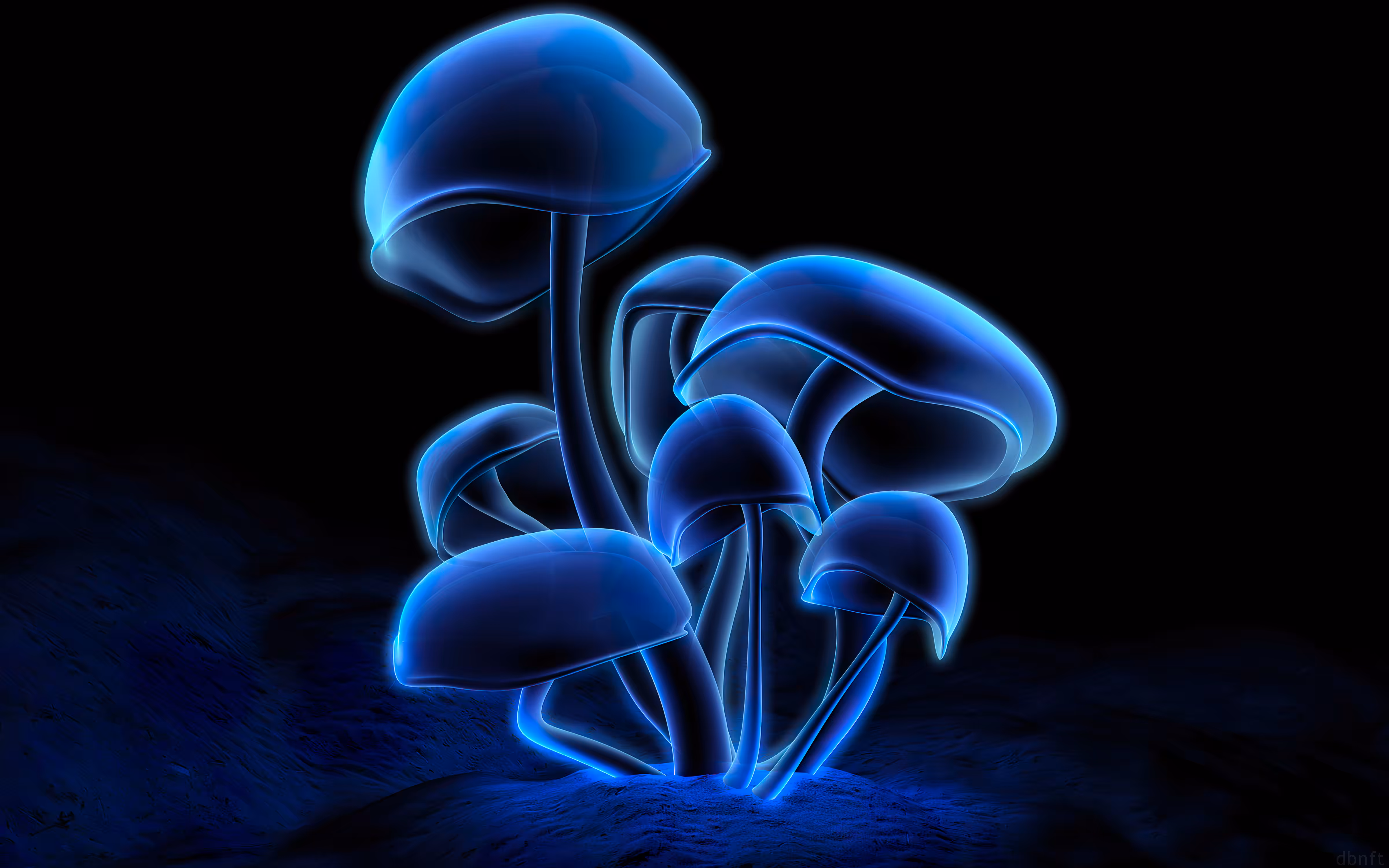 Fluorescence [6] (2000)