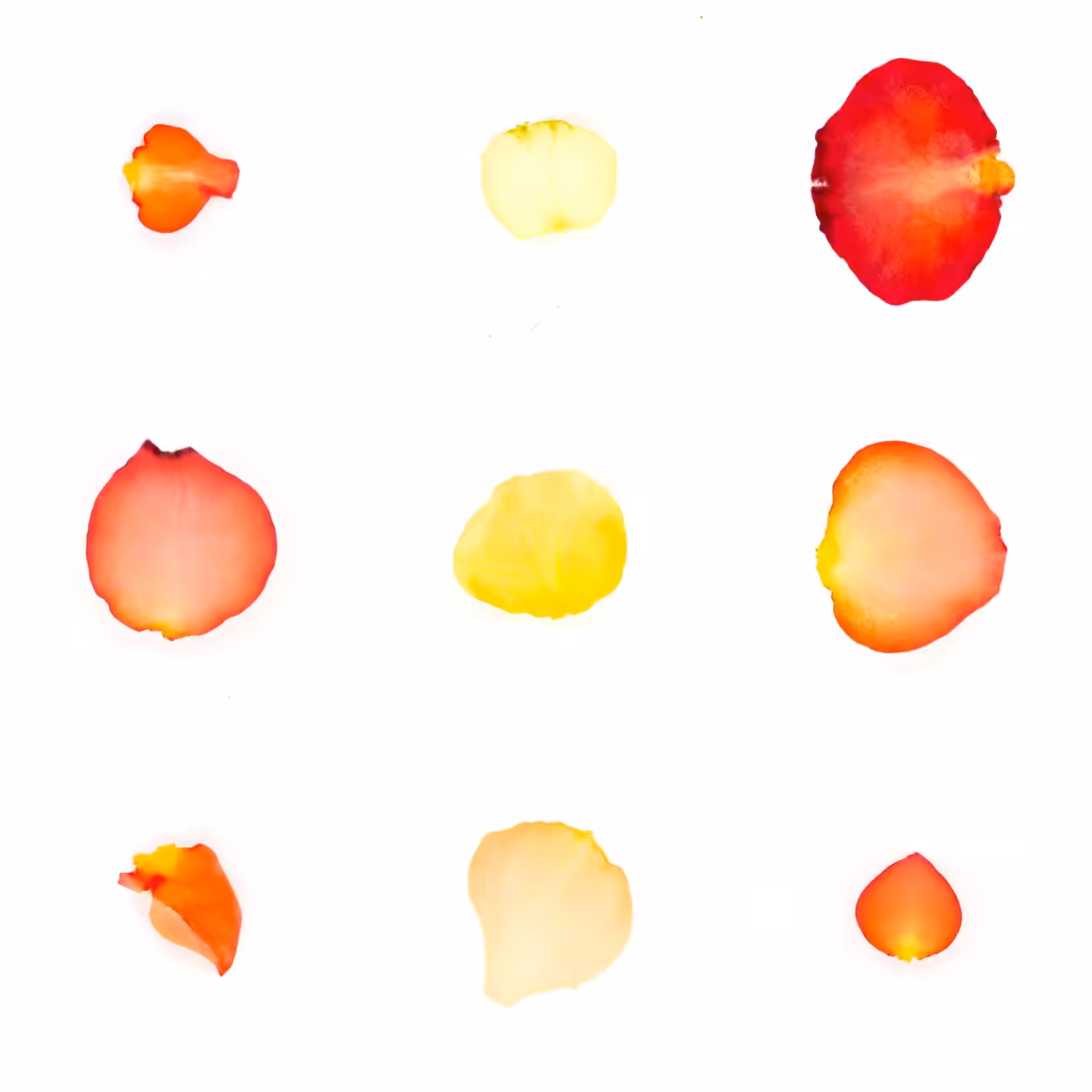 Infinite Petals 3x3#1616