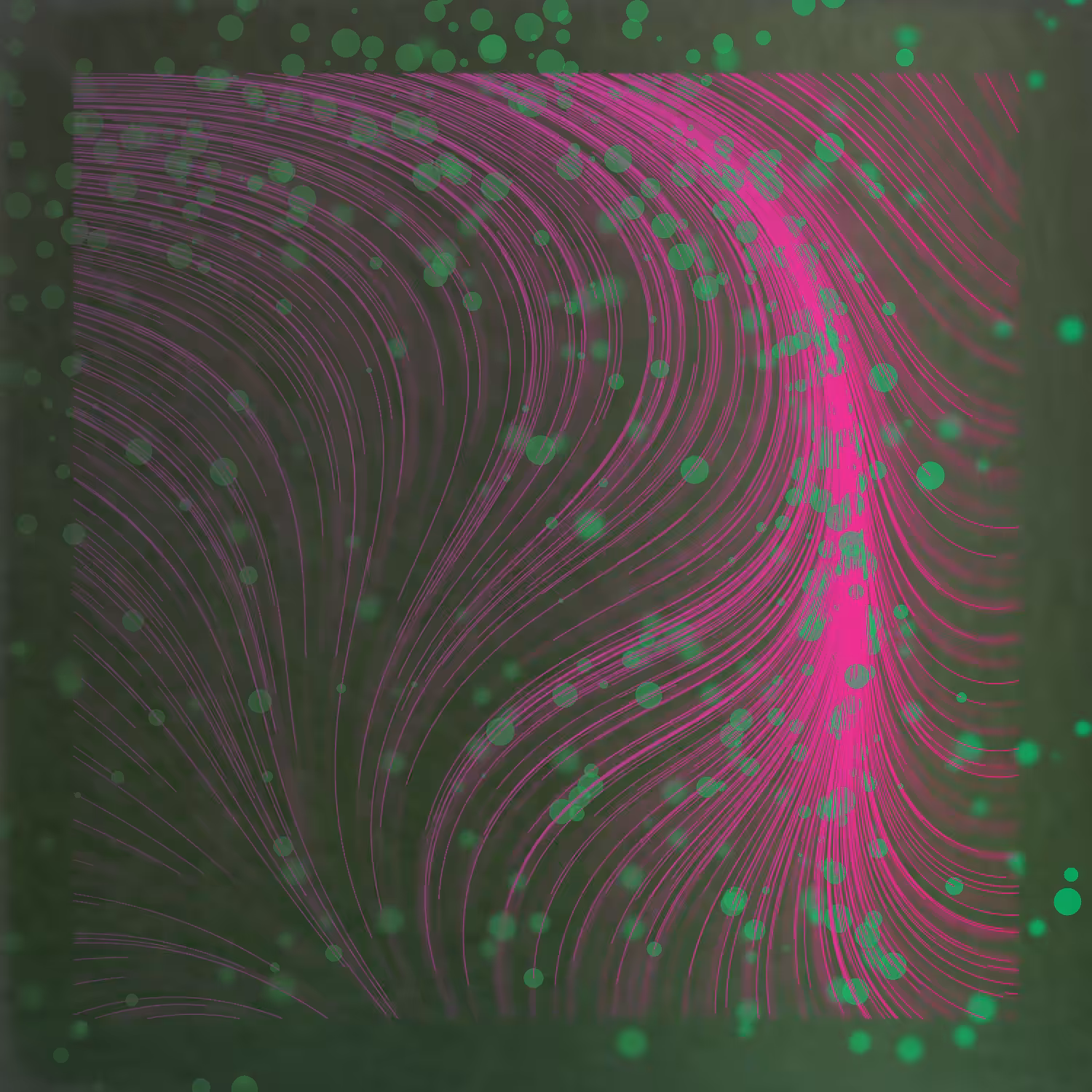 Gentle Force #104