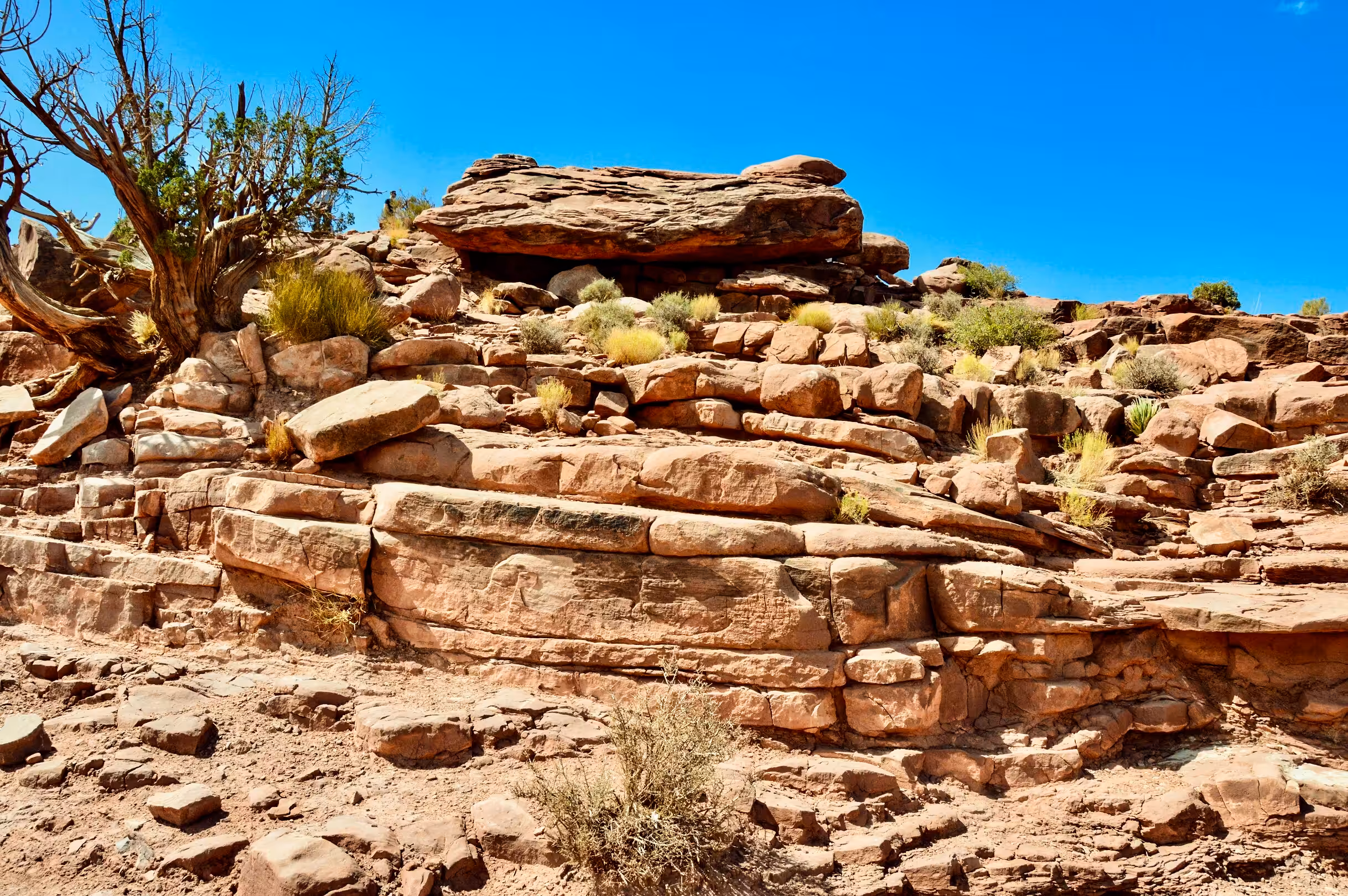 Around the world  with GingerBeard: Nevada - Deserted
