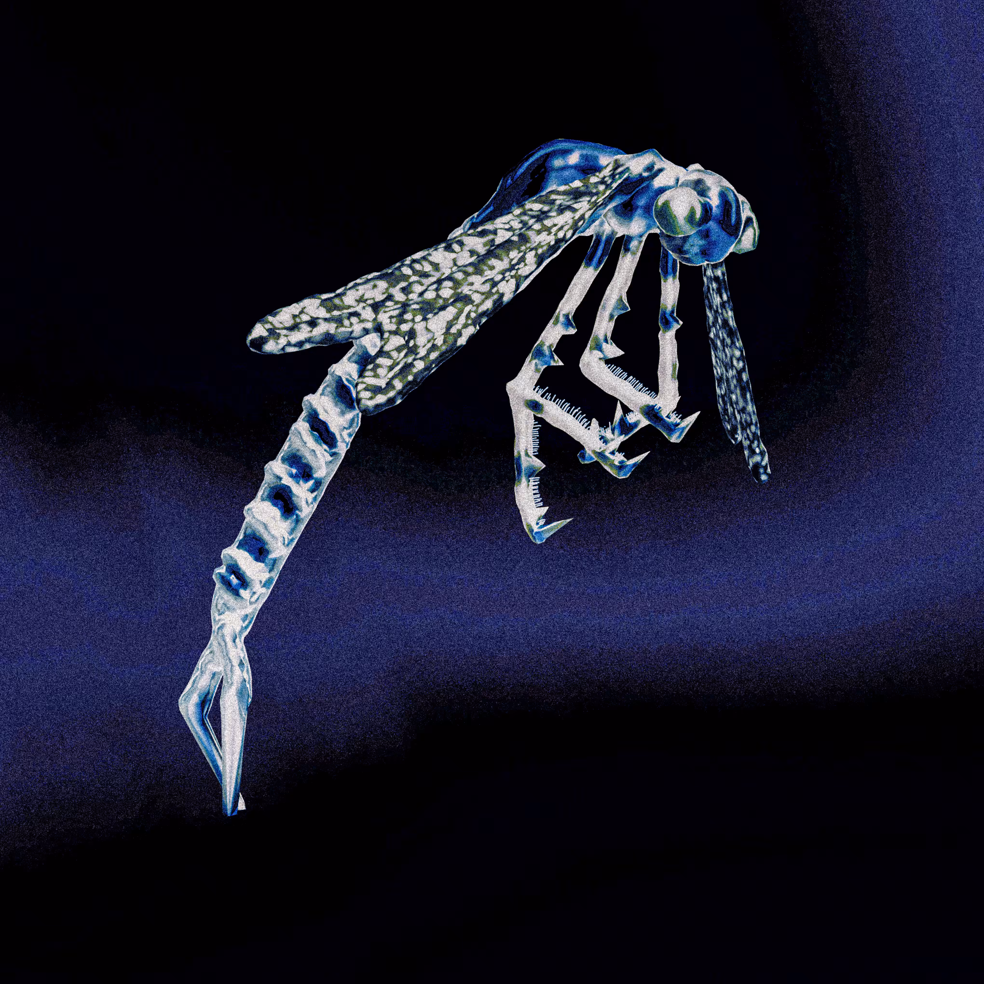 Dragonfly