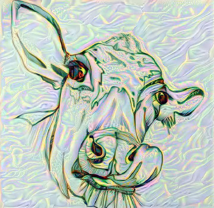 cow 1, drawing 2