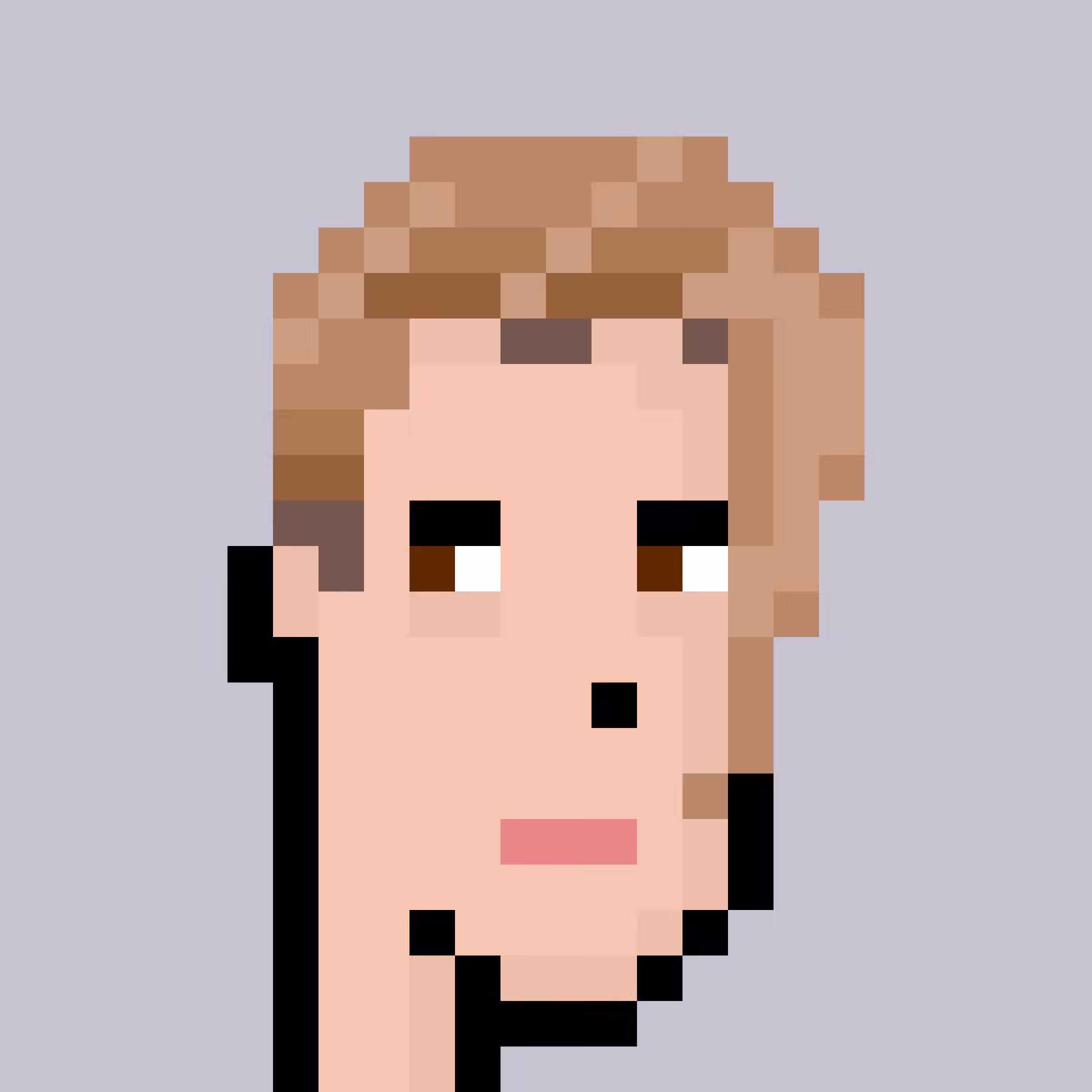 Justin Bieber Punk