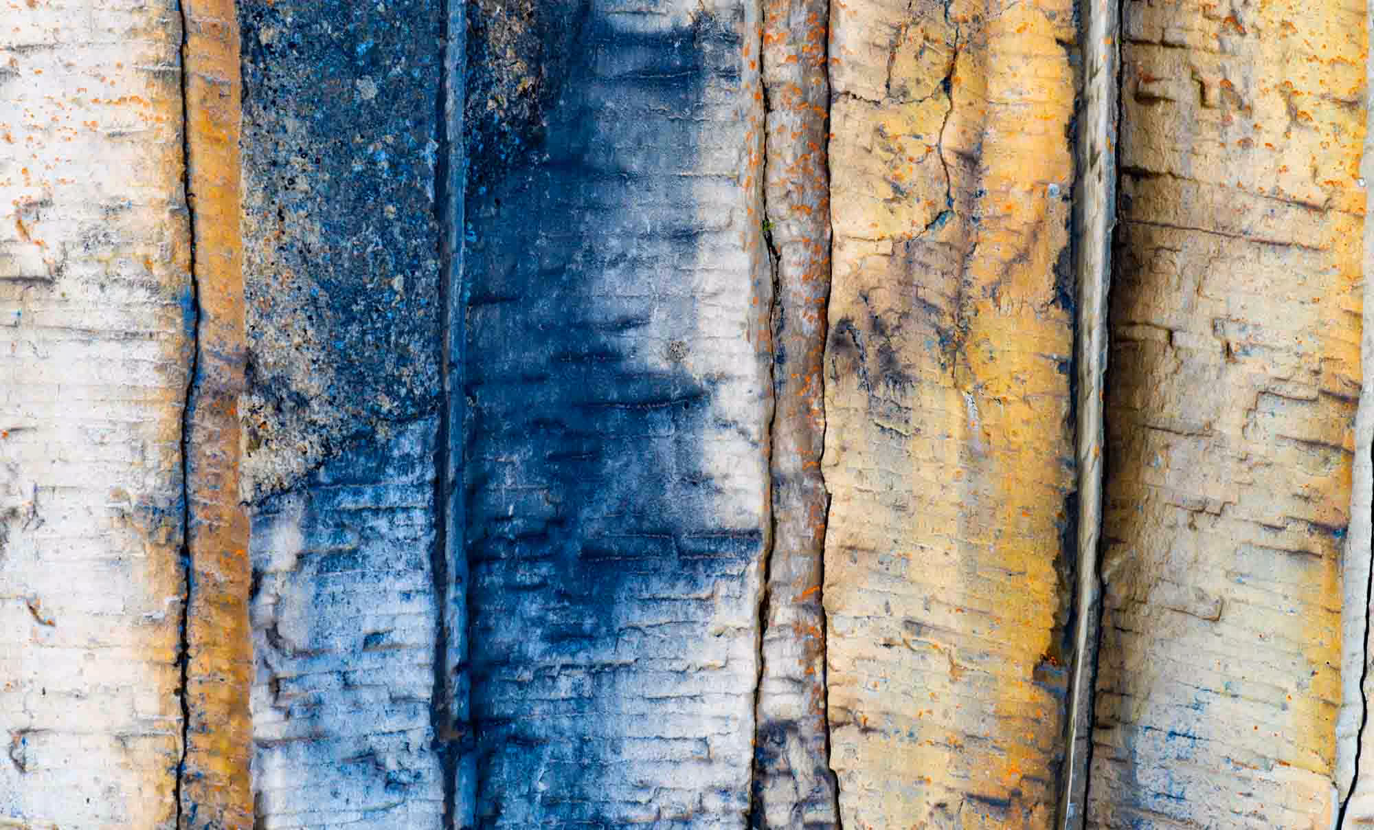 Volcano Abstract #9 The Woods